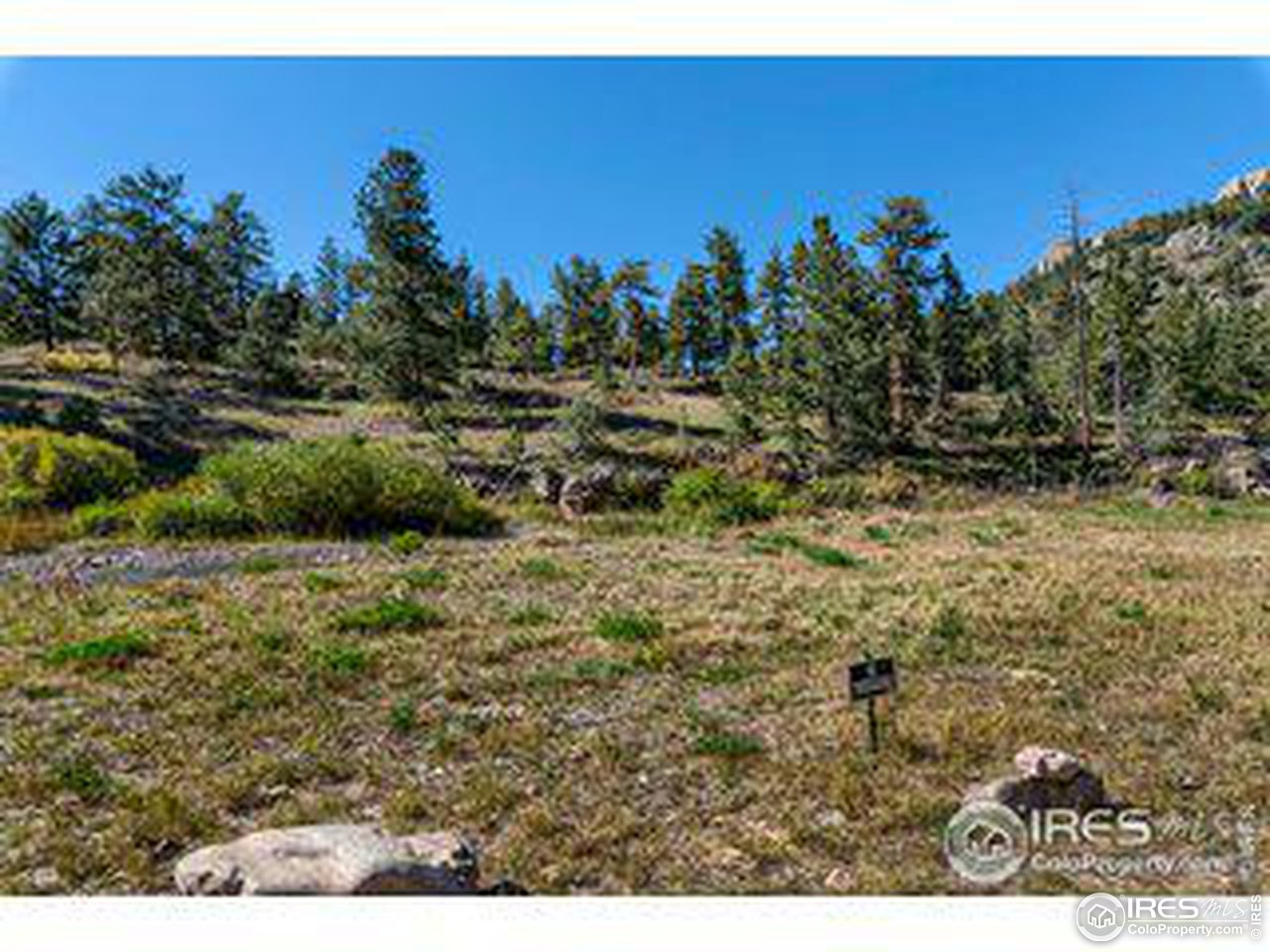 0 County Road 43 Glen Haven, CO 80532 - Photo 8 of 9 a view of a yard