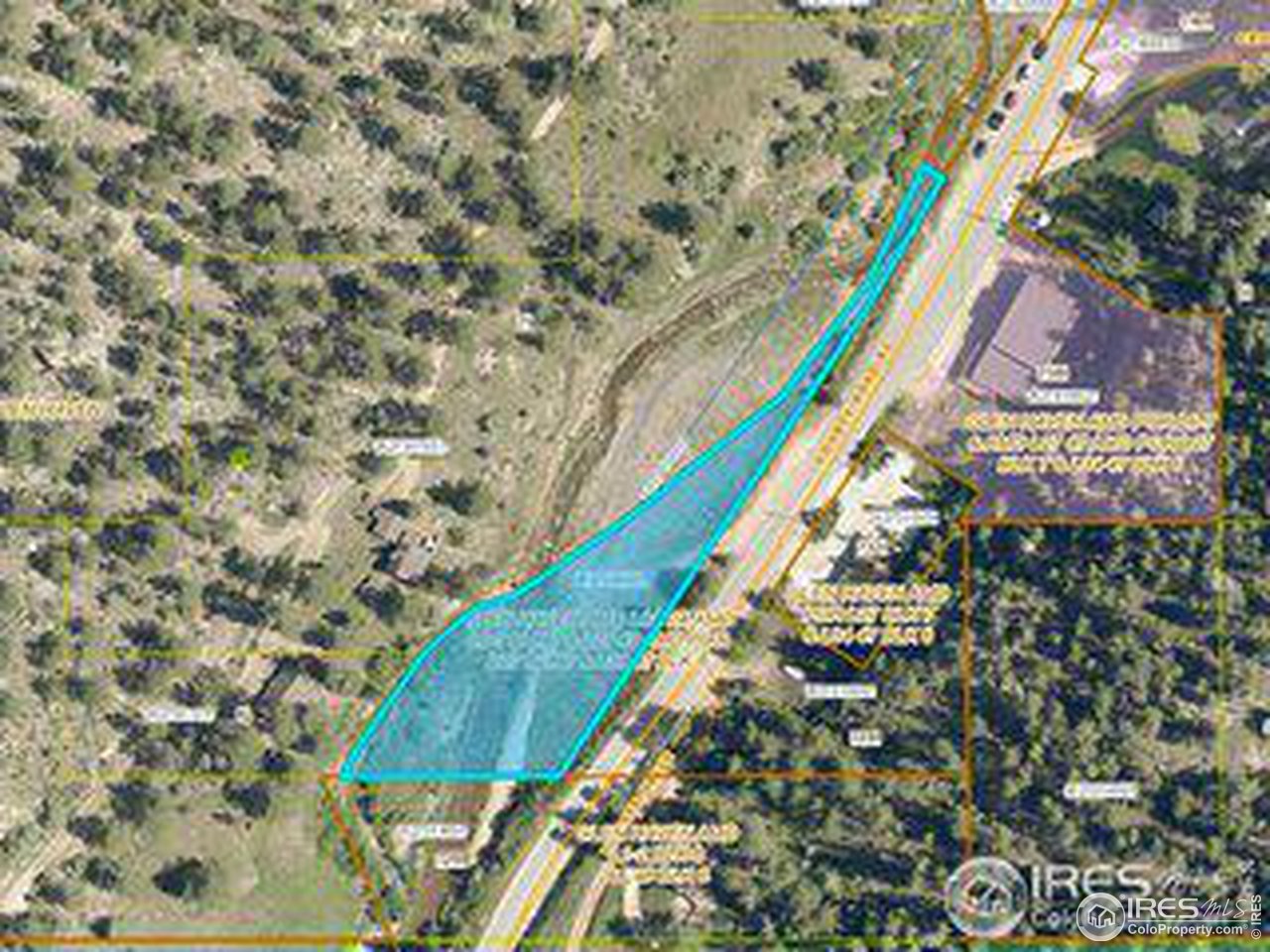 0 County Road 43 Glen Haven, CO 80532 - Photo 9 of 9 a close up of a plant