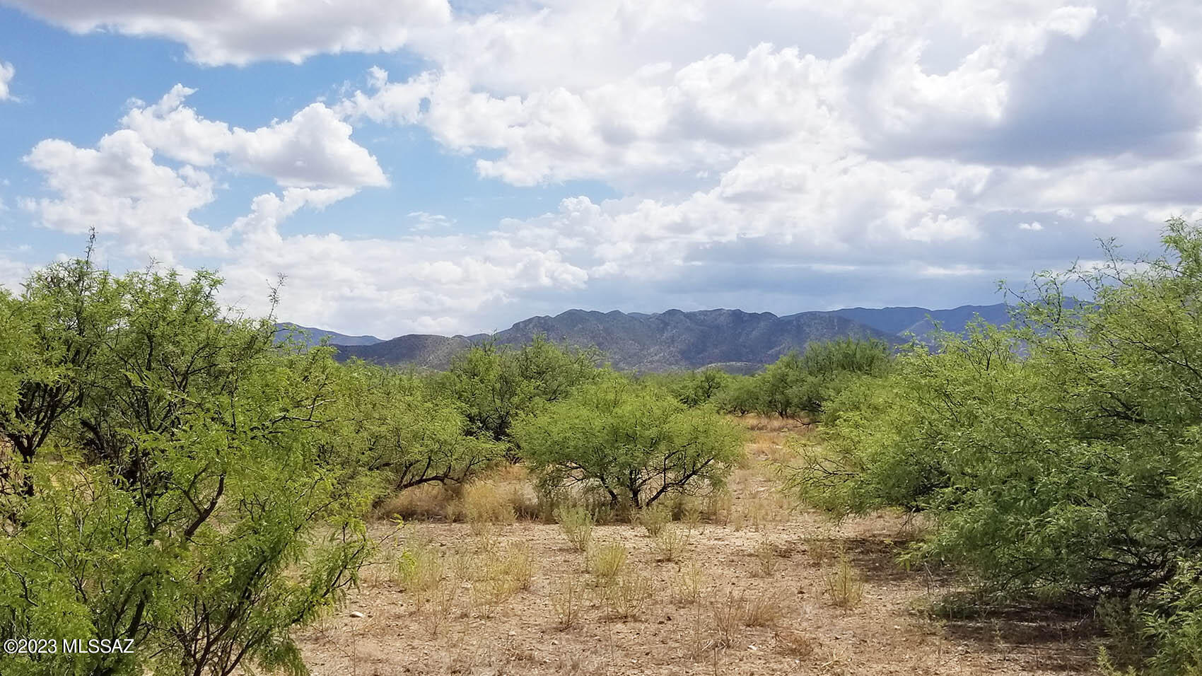 1-lot West Birch Road, Unit 8 Cochise, AZ 85606 - Photo 7 of 11