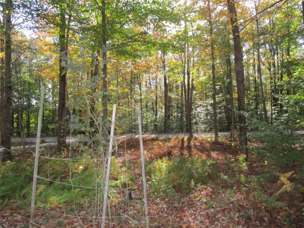 195 Mahoney Road Brackney, PA 18812 - Photo 22 of 22 Gallery Image 22