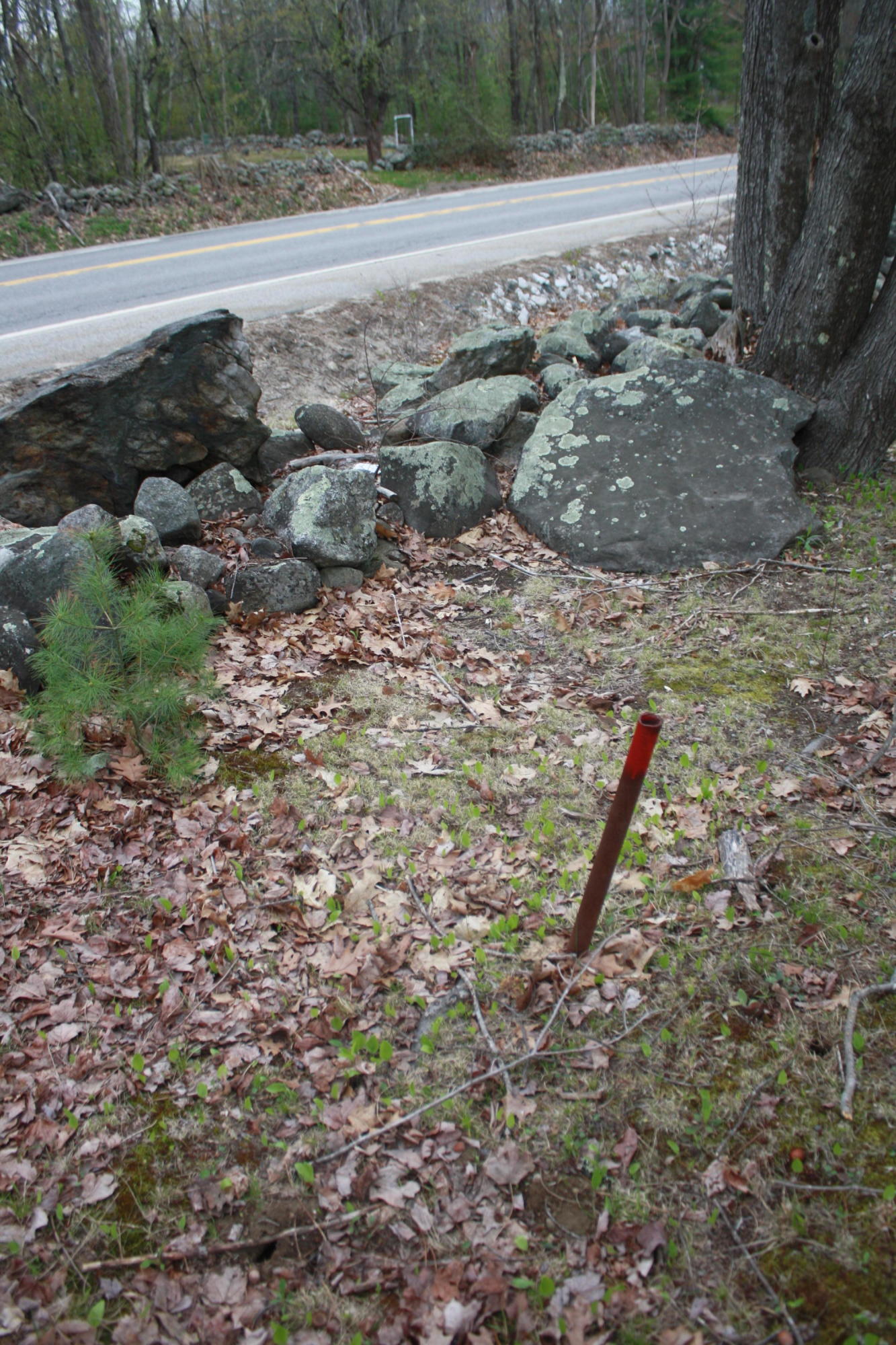 213 Townhouse Road East Waterboro, ME 04030 - Photo 97 of 127 IMG_2545