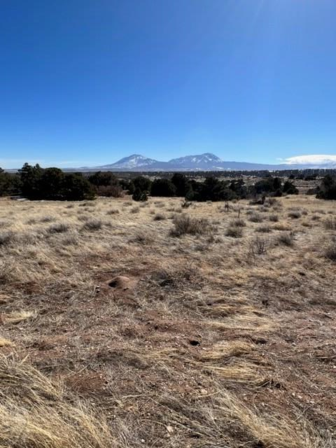 176 Navajo Ranch Tucson, AZ 85705 - Photo 7 of 9