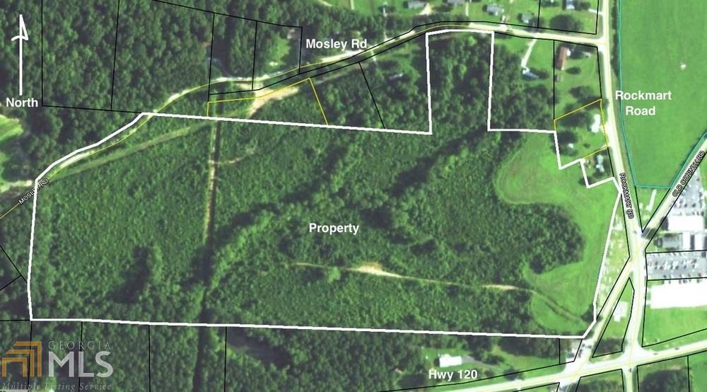 0 Old Corinth Road Buchanan, GA 30110 - Photo 1 of 1