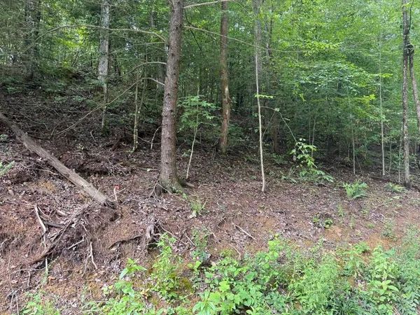 $50,000 | 35 Lawson Ridge Road, Campton, KY 41301