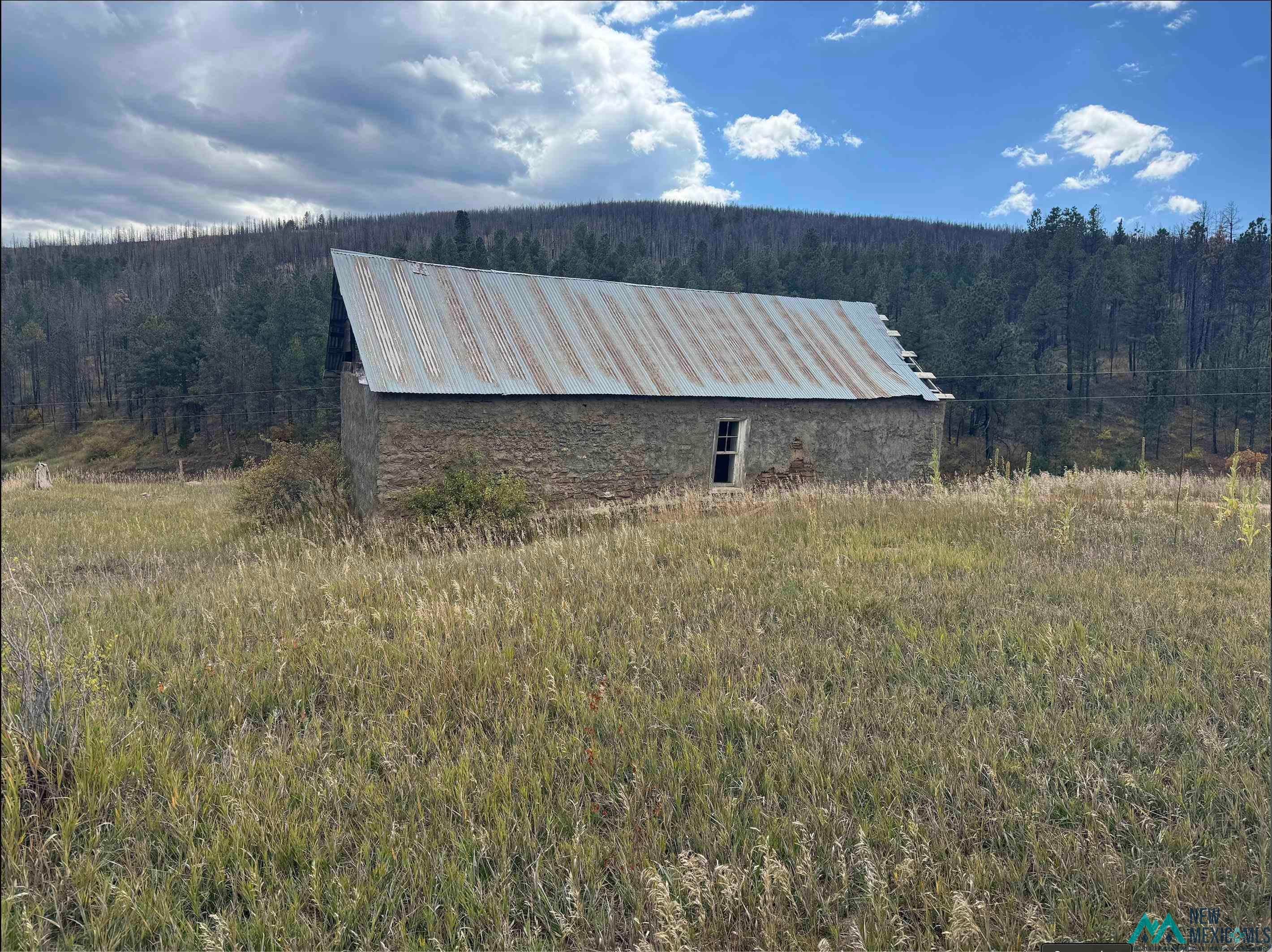 21.745 Los Alamitos Road Chacon, NM 87713 - Photo 6 of 9 View of outbuilding with a wooded view
