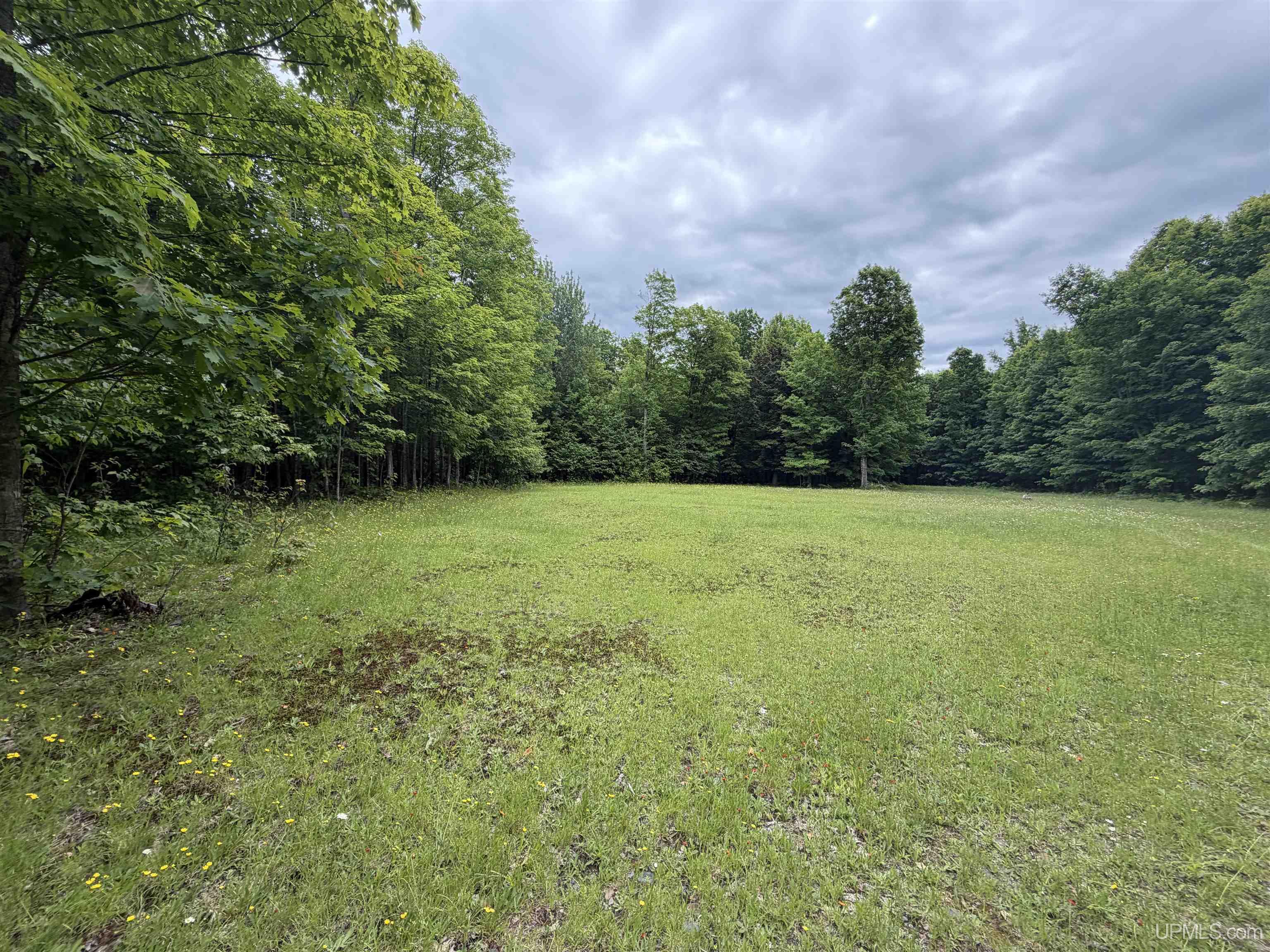 Tbd25.8 Skanee Road Skanee, MI 49962 - Photo 3 of 20