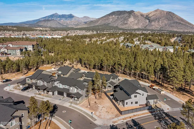 a view of city and mountain