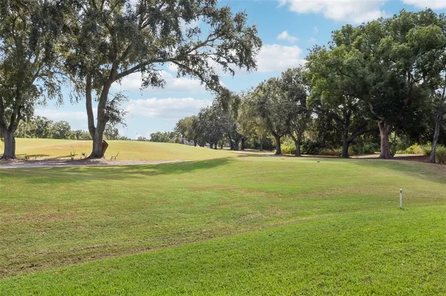 a view of a back yard of the house