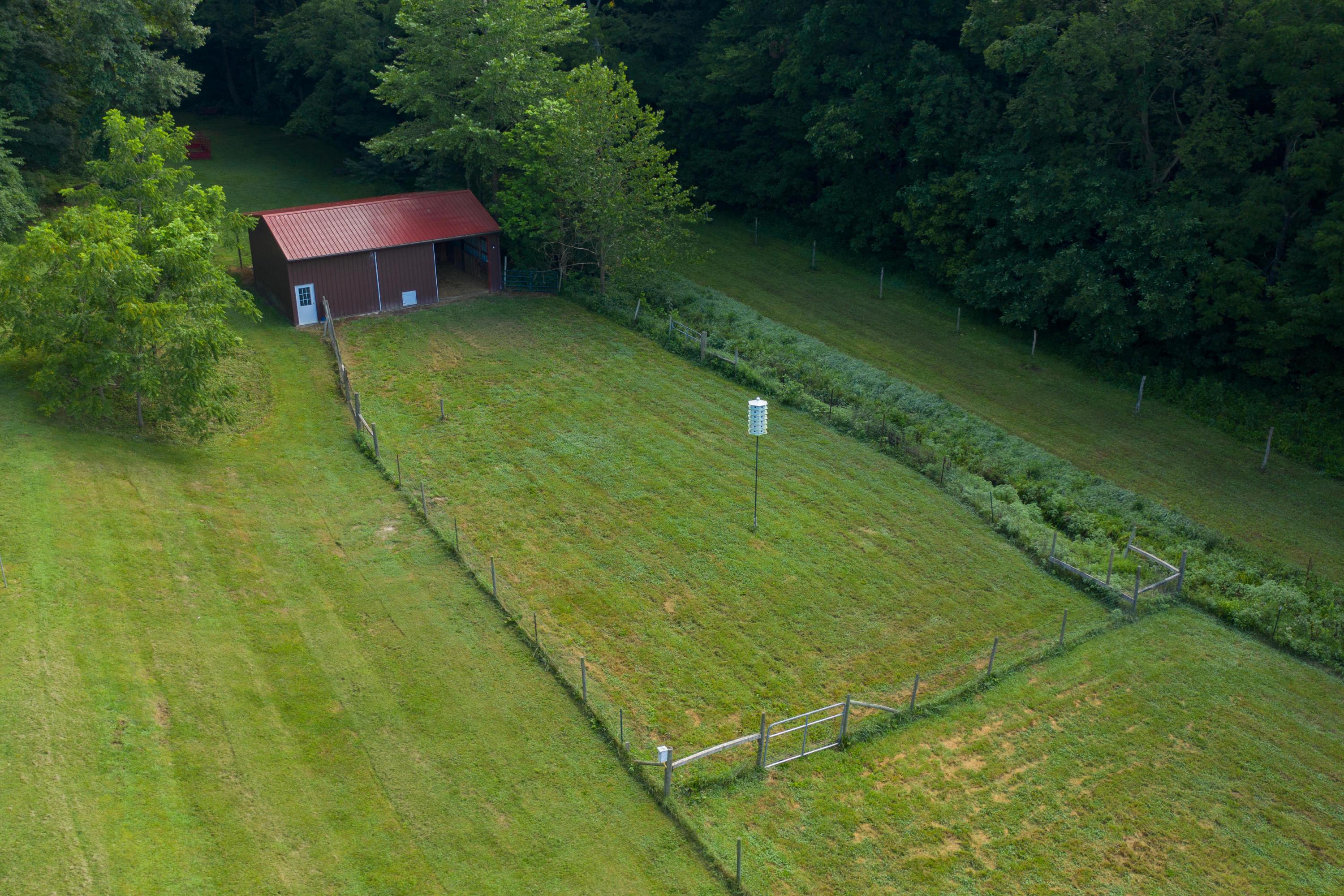 31540 Ansel Road Logan, OH 43138 - Photo 32 of 56 Gallery Image 32