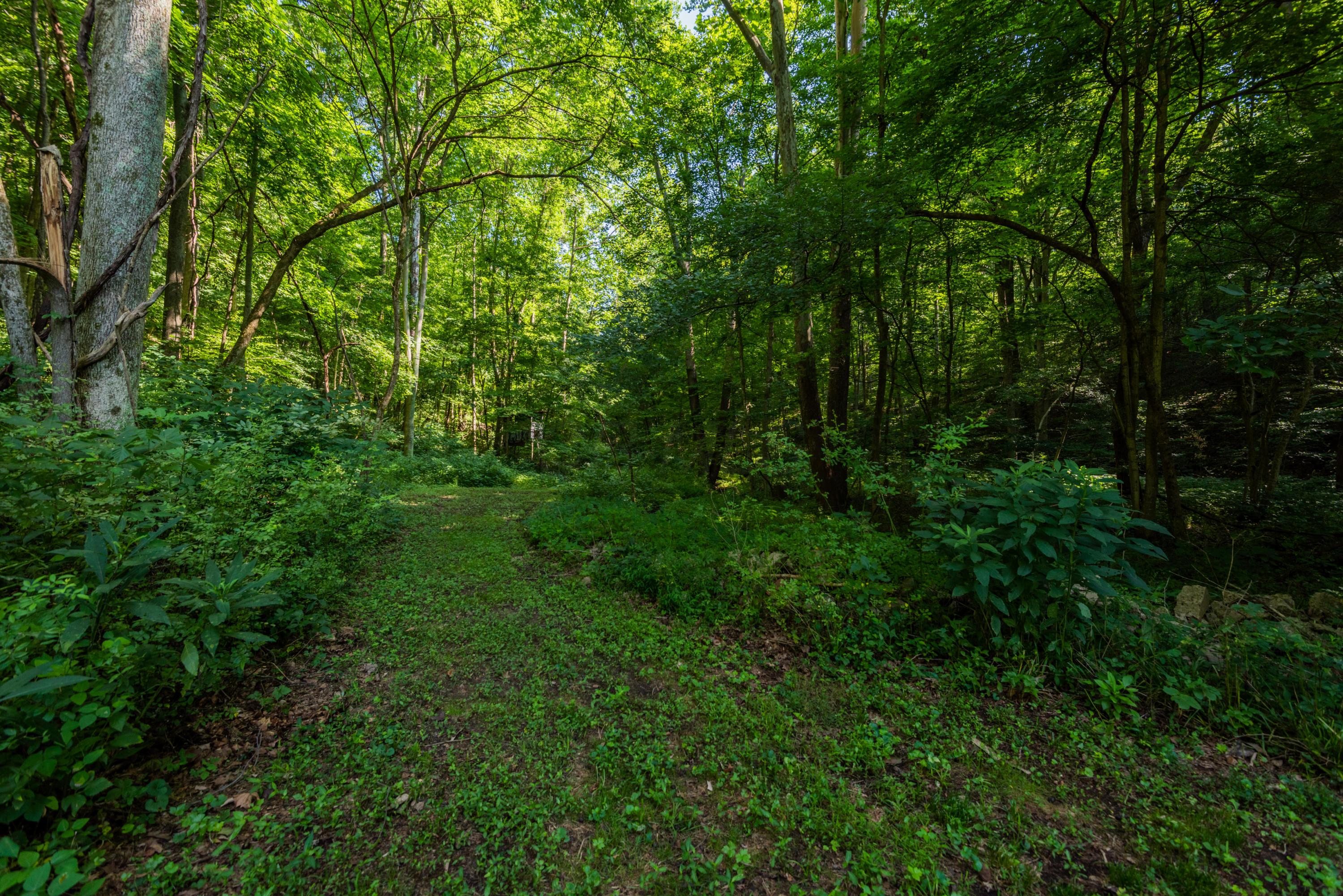 31540 Ansel Road Logan, OH 43138 - Photo 52 of 56 Gallery Image 52