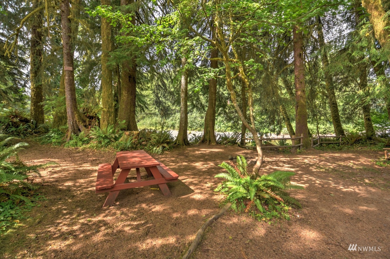3743 Clearwater Road Forks, WA 98331 - Photo 30 of 39 Gallery Image 30
