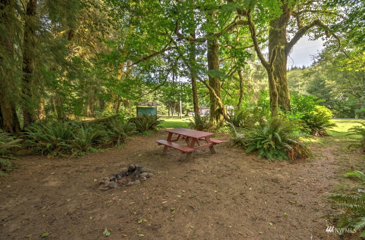 3743 Clearwater Road Forks, WA 98331 - Photo 31 of 39 Gallery Image 31