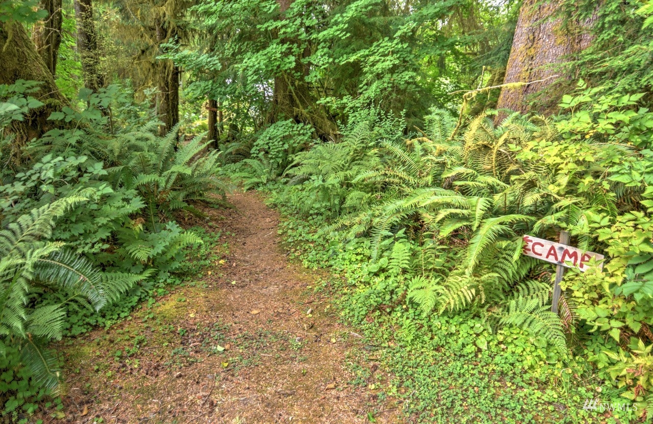 3743 Clearwater Road Forks, WA 98331 - Photo 38 of 39 Gallery Image 38