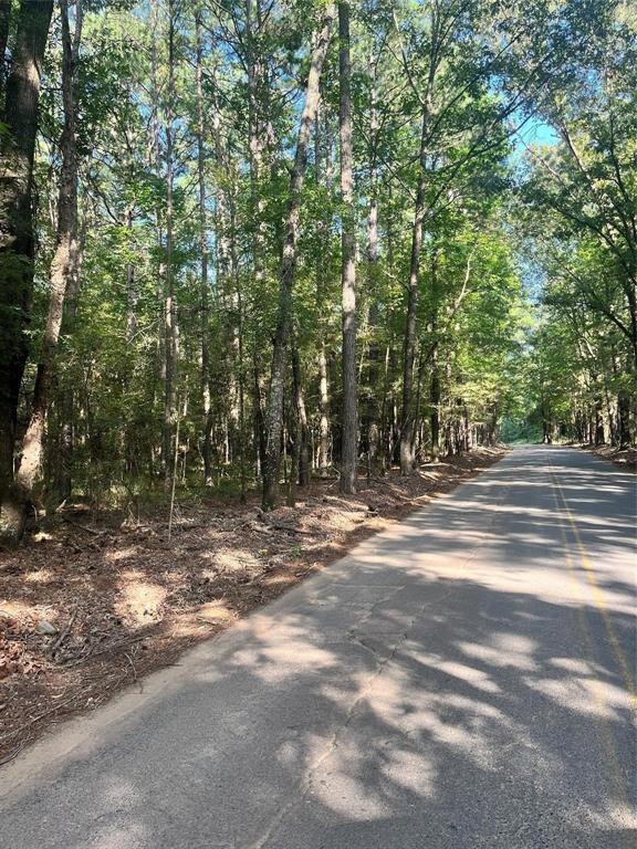 0 Friendship Road Frierson, LA 71027 - Photo 1 of 4 a view of a yard with large trees
