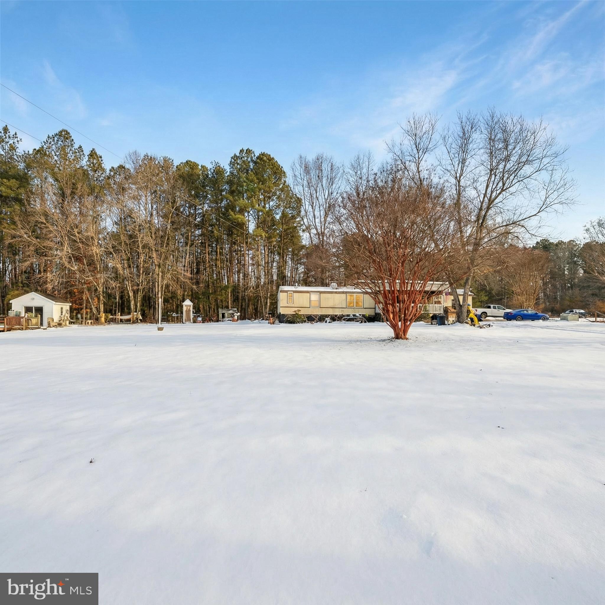 1586 Signboard Road Bumpass, VA 23024 - Photo 4 of 4 a view of road with trees