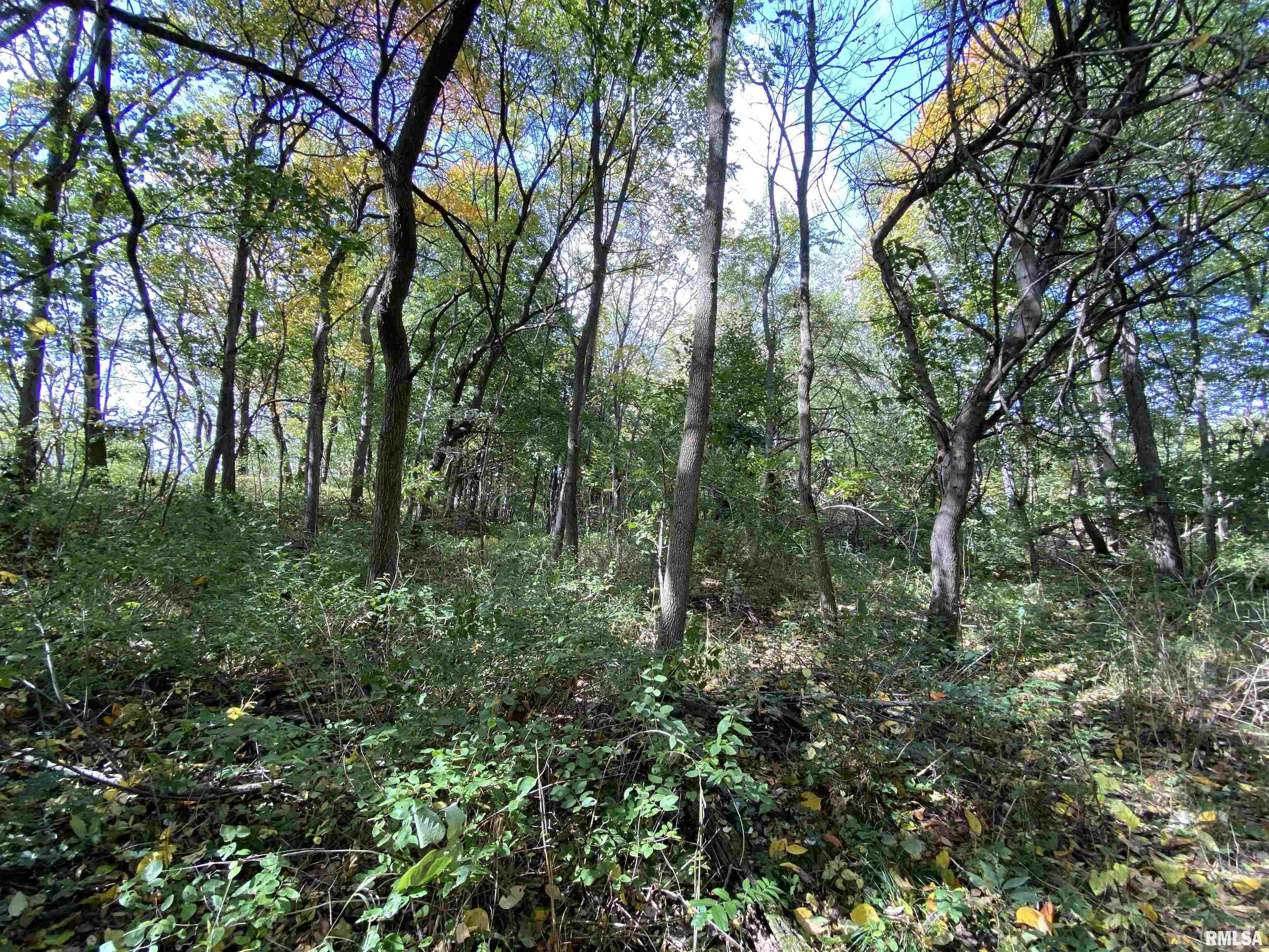 0 North Bader Road Astoria, IL 61501 - Photo 29 of 38