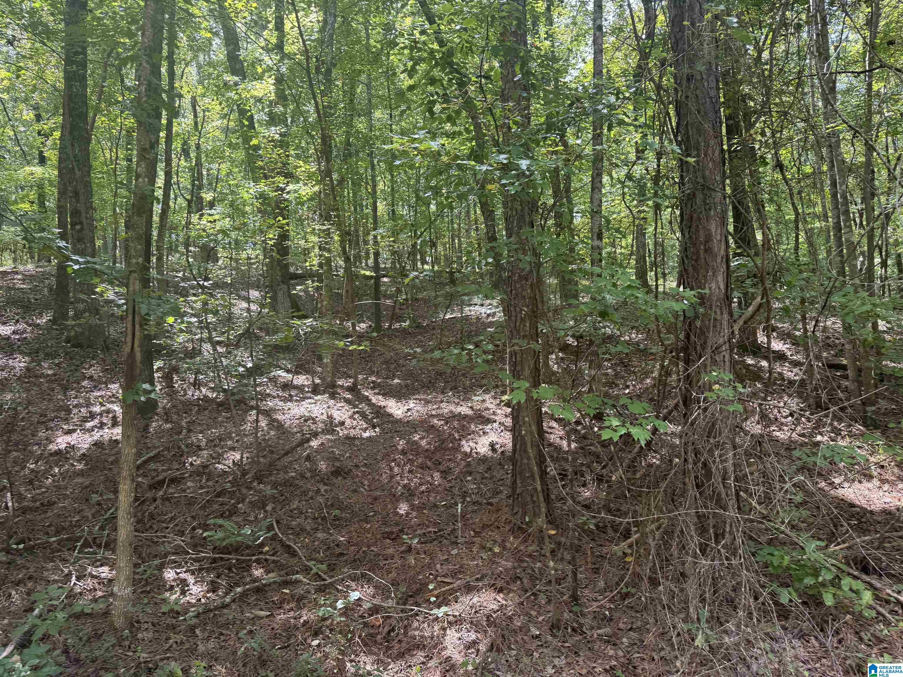 85 Mohawk Court, Unit 22 Ohatchee, AL 36271 - Photo 20 of 37