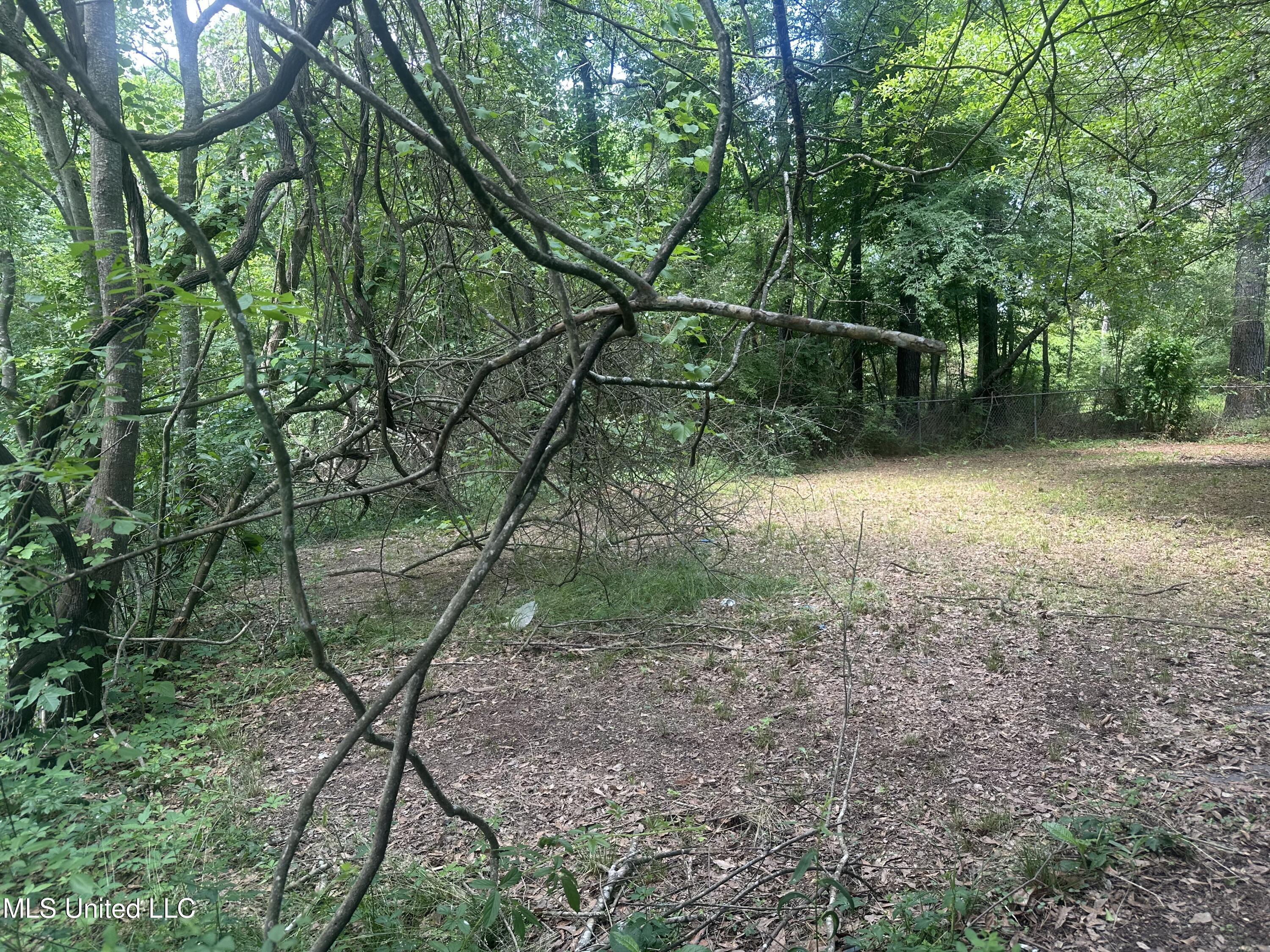 721 Glenmont Drive Jackson, MS 39209 - Photo 27 of 31 IMG_9811