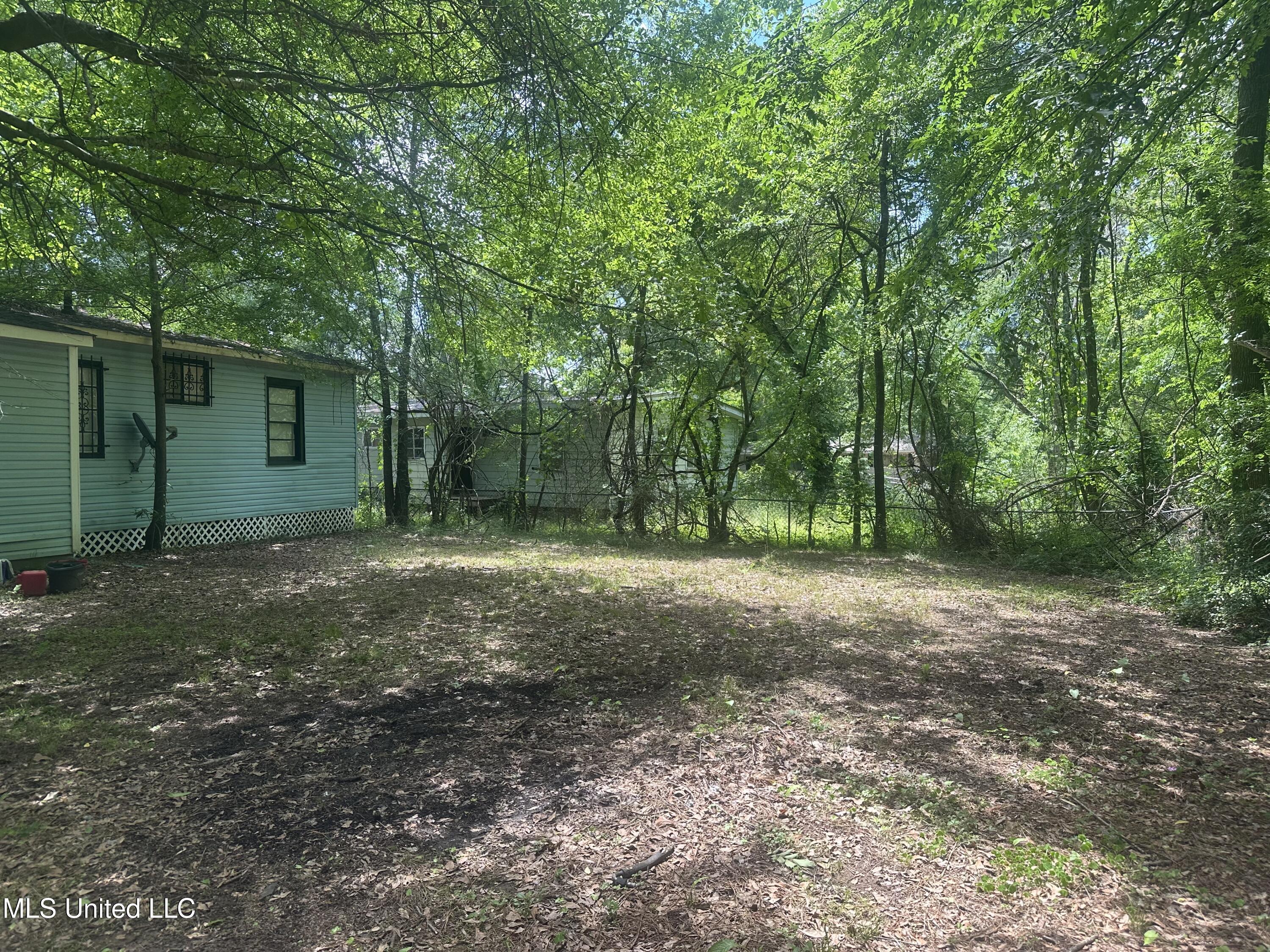 721 Glenmont Drive Jackson, MS 39209 - Photo 28 of 31 IMG_9805