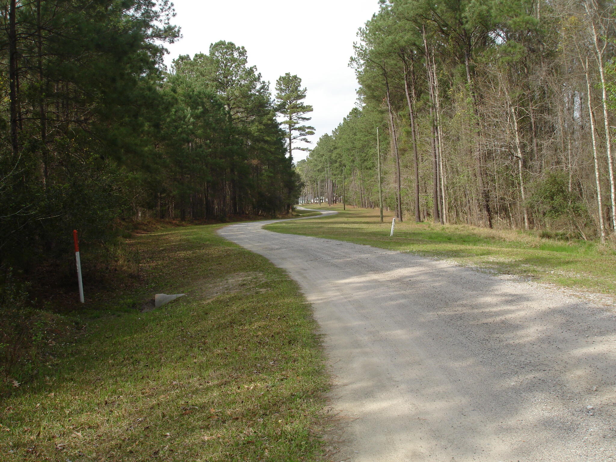 6161 Beaver Dam Road Aiken, SC 29805 - Photo 2 of 14 Beaver Dam Smith Lots (7)
