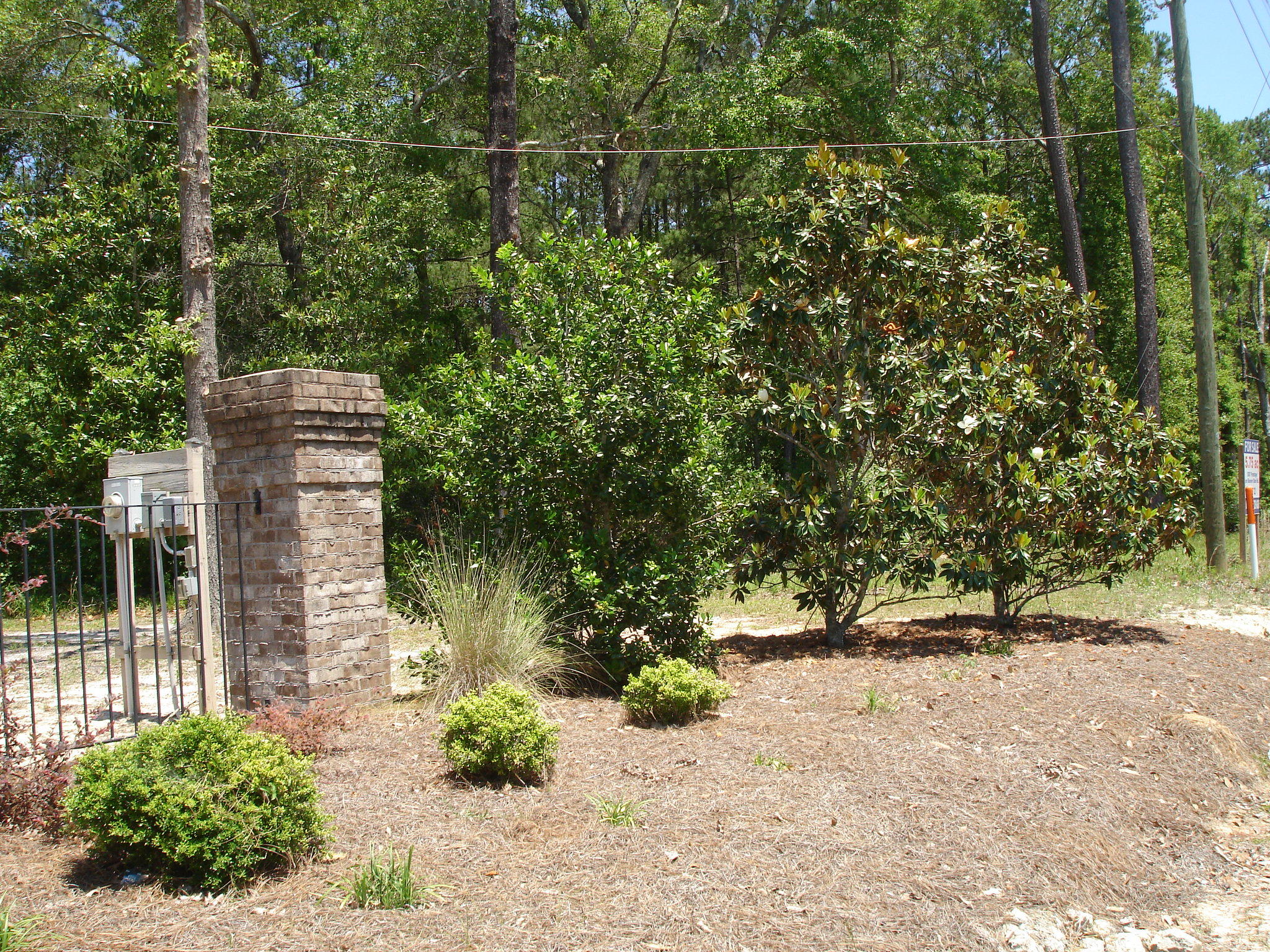6161 Beaver Dam Road Aiken, SC 29805 - Photo 11 of 14 Beaver Dam Smith Lots (15)