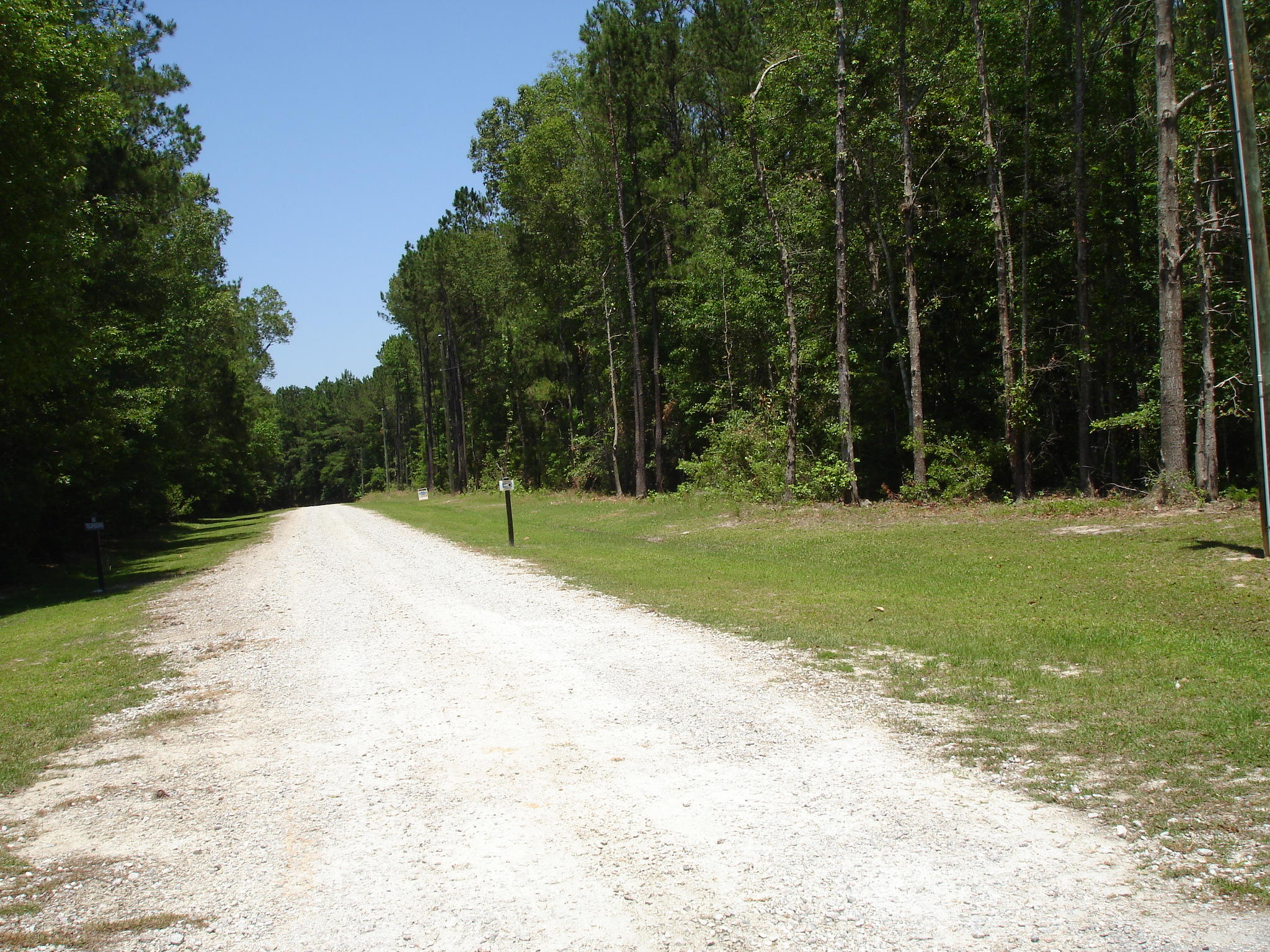 6161 Beaver Dam Road Aiken, SC 29805 - Photo 12 of 14 Beaver Dam Smith Lots (14)