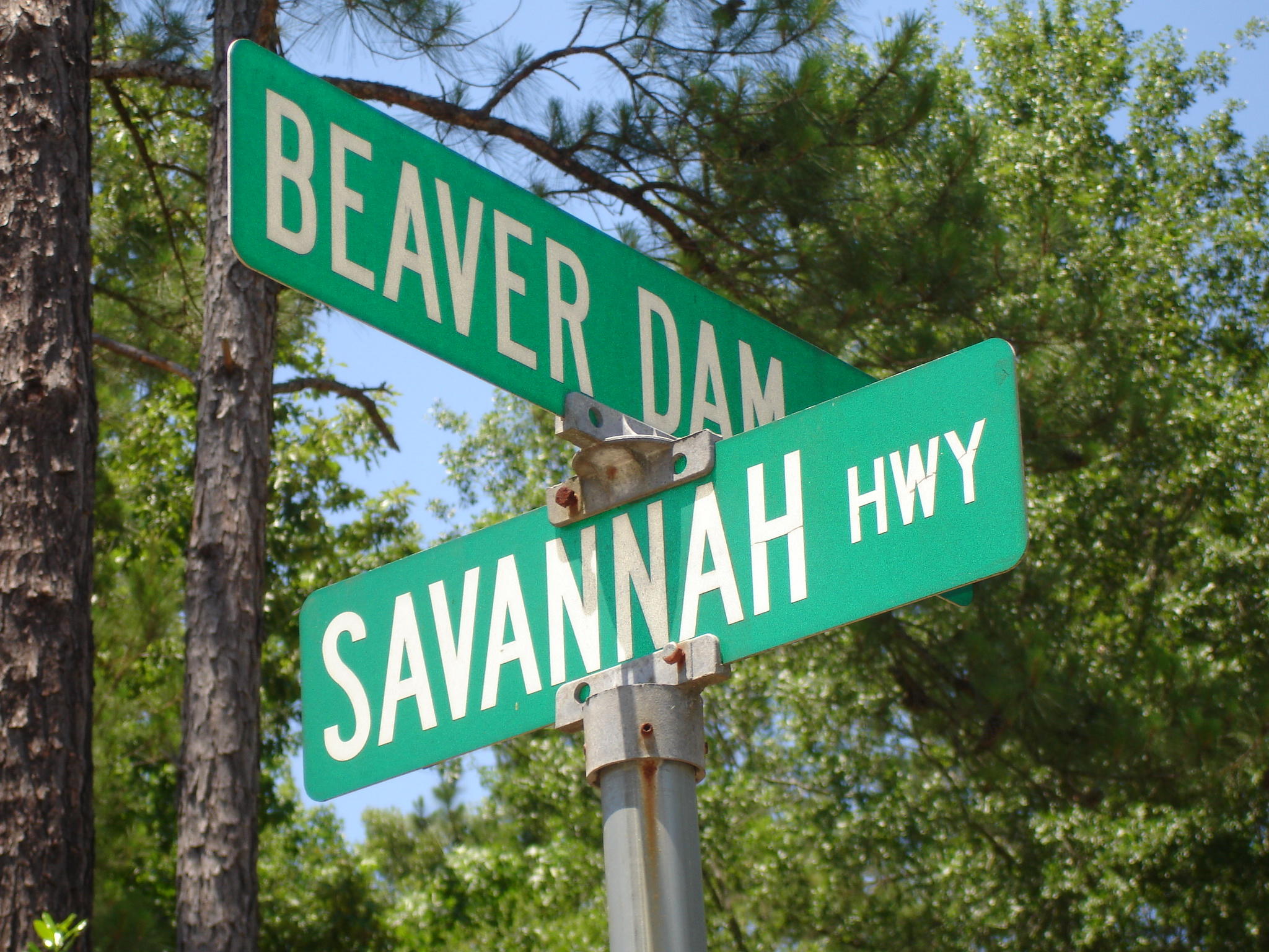 6161 Beaver Dam Road Aiken, SC 29805 - Photo 14 of 14 Beaver Dam Smith Lots (12)