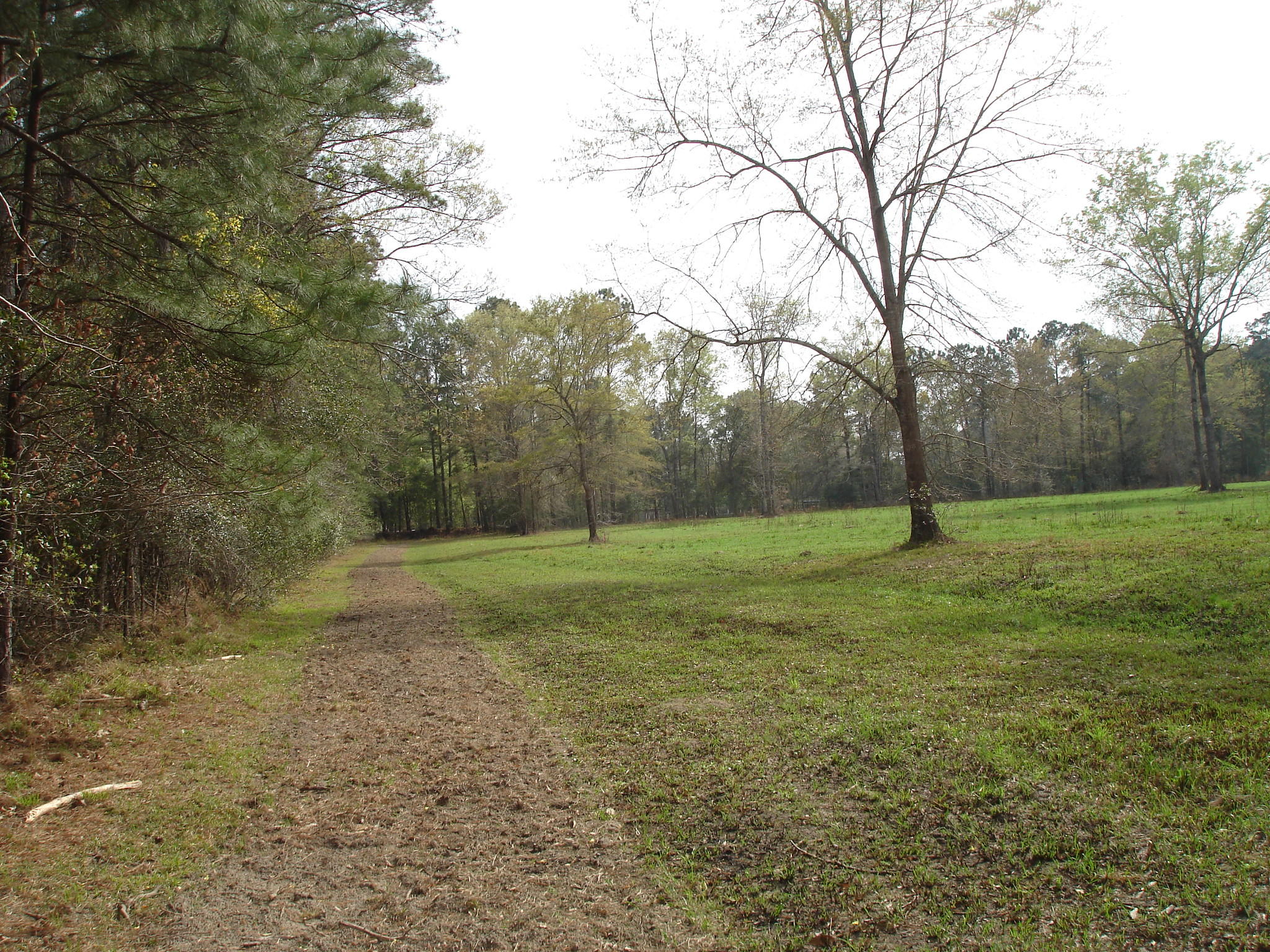 6161 Beaver Dam Road Aiken, SC 29805 - Photo 5 of 14 Beaver Dam Smith Lots (10)