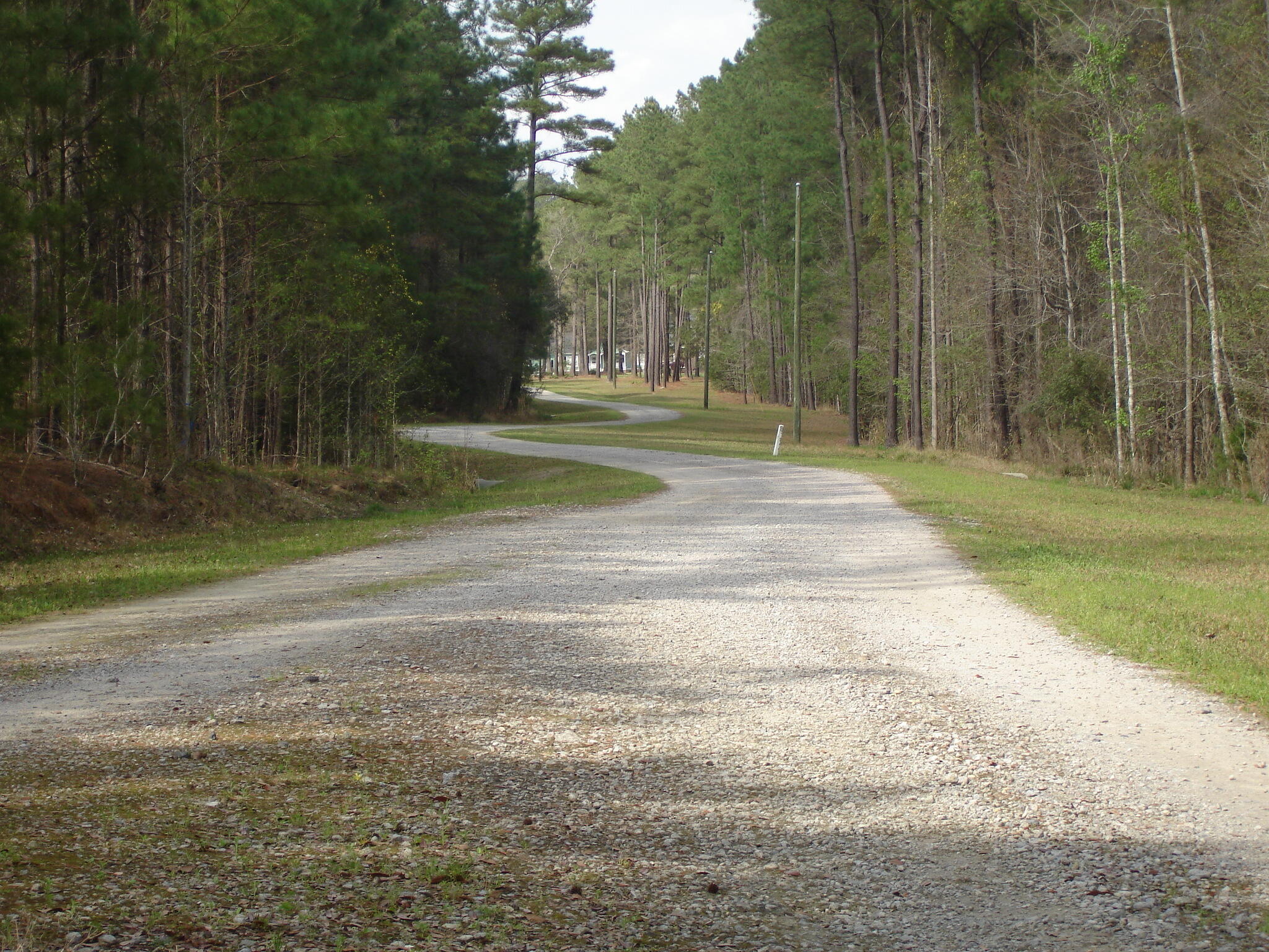 6161 Beaver Dam Road Aiken, SC 29805 - Photo 7 of 14 Beaver Dam Smith Lots (5)