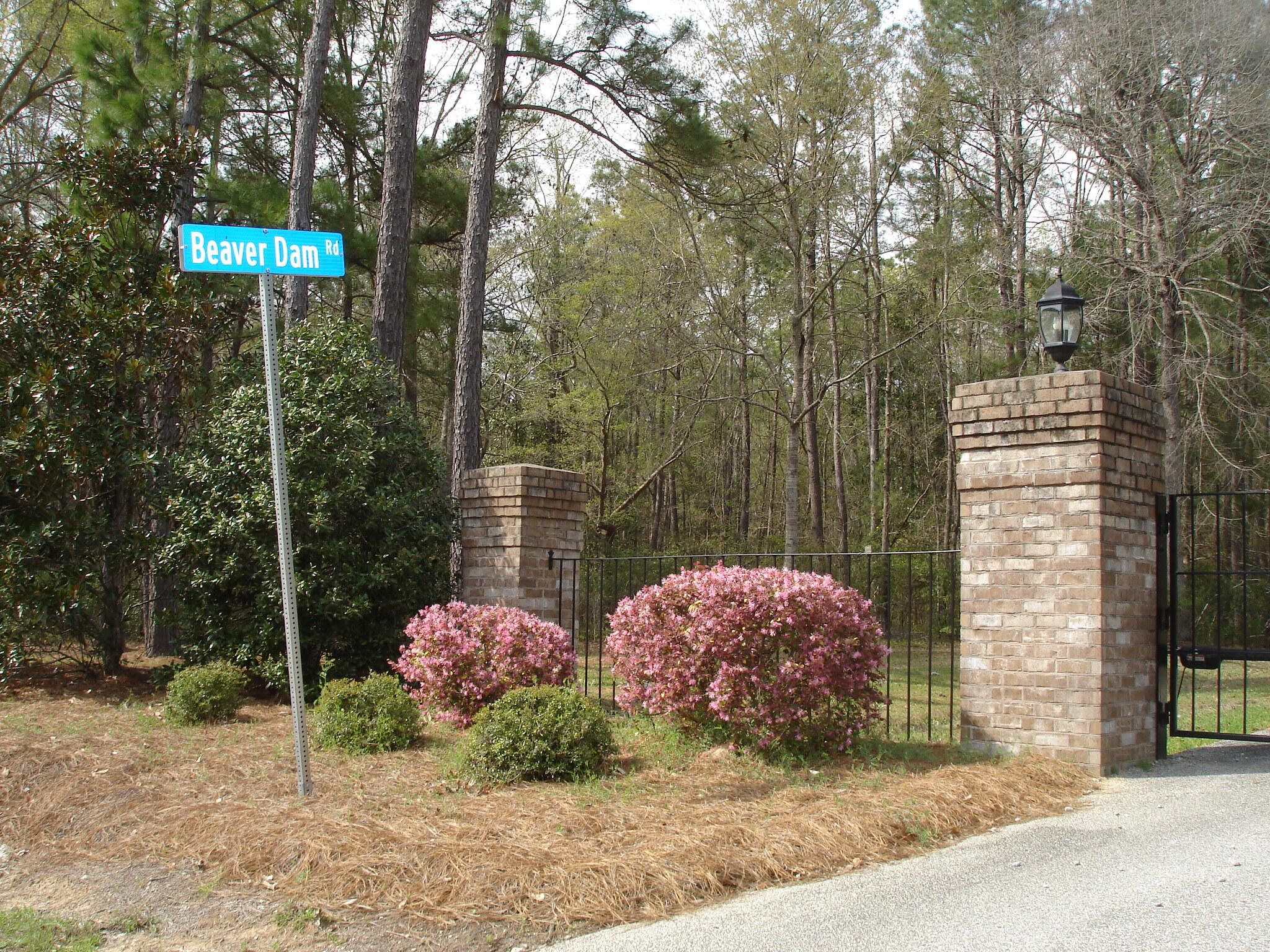 6161 Beaver Dam Road Aiken, SC 29805 - Photo 9 of 14 Beaver Dam Smith Lots (3)
