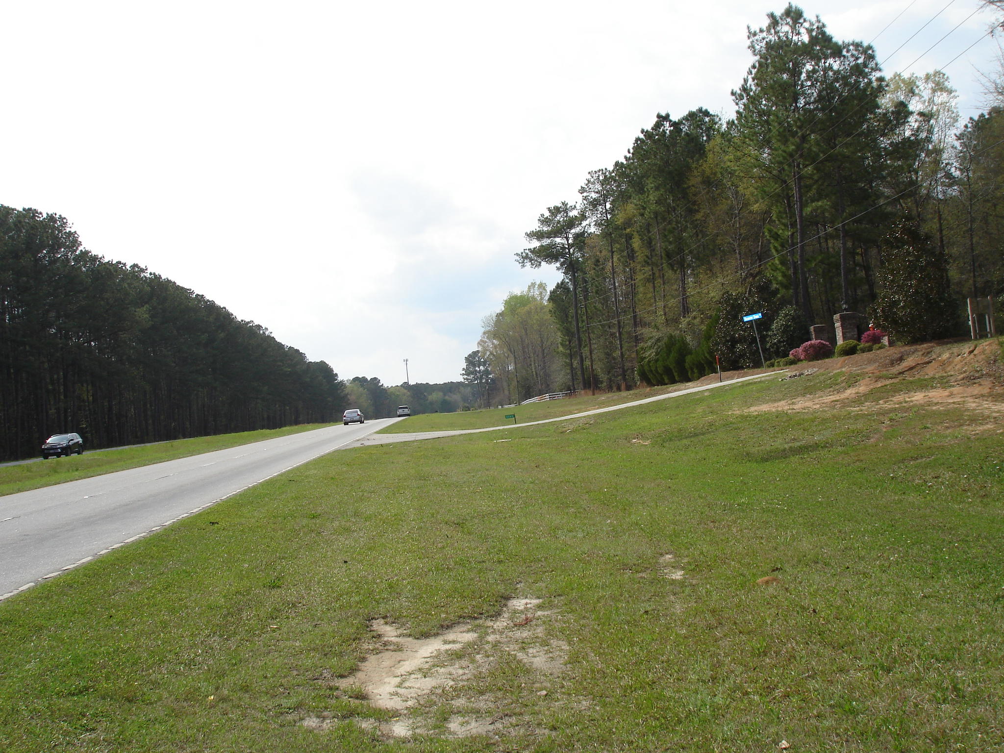 6161 Beaver Dam Road Aiken, SC 29805 - Photo 10 of 14 Beaver Dam Smith Lots (1)