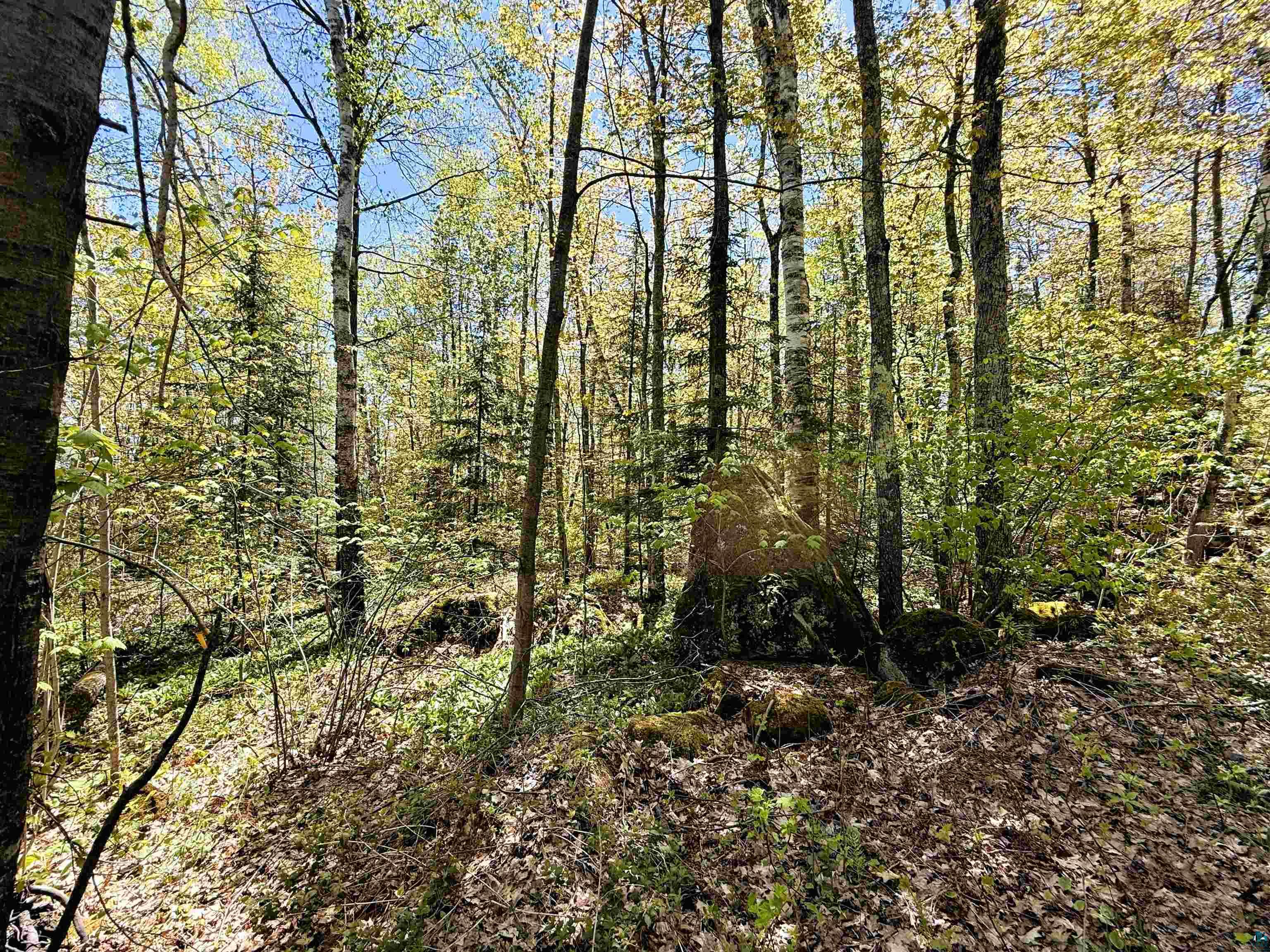 Lot 5 Blue Wing Bay Road Bayfield, WI 54814 - Photo 11 of 11