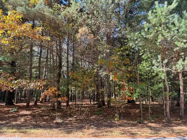 $319,900 | 9198 Forest Pines Drive, Mecosta, MI 49332