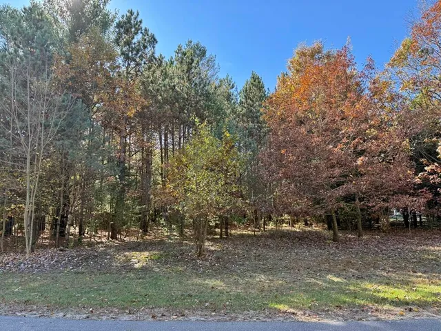 $319,900 | 9198 Forest Pines Drive, Mecosta, MI 49332