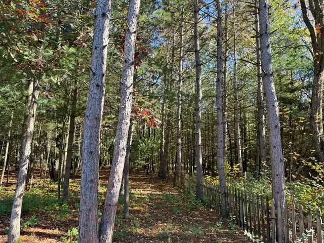 $319,900 | 9198 Forest Pines Drive, Mecosta, MI 49332