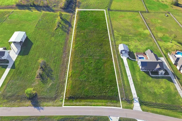 a bird view of a garden