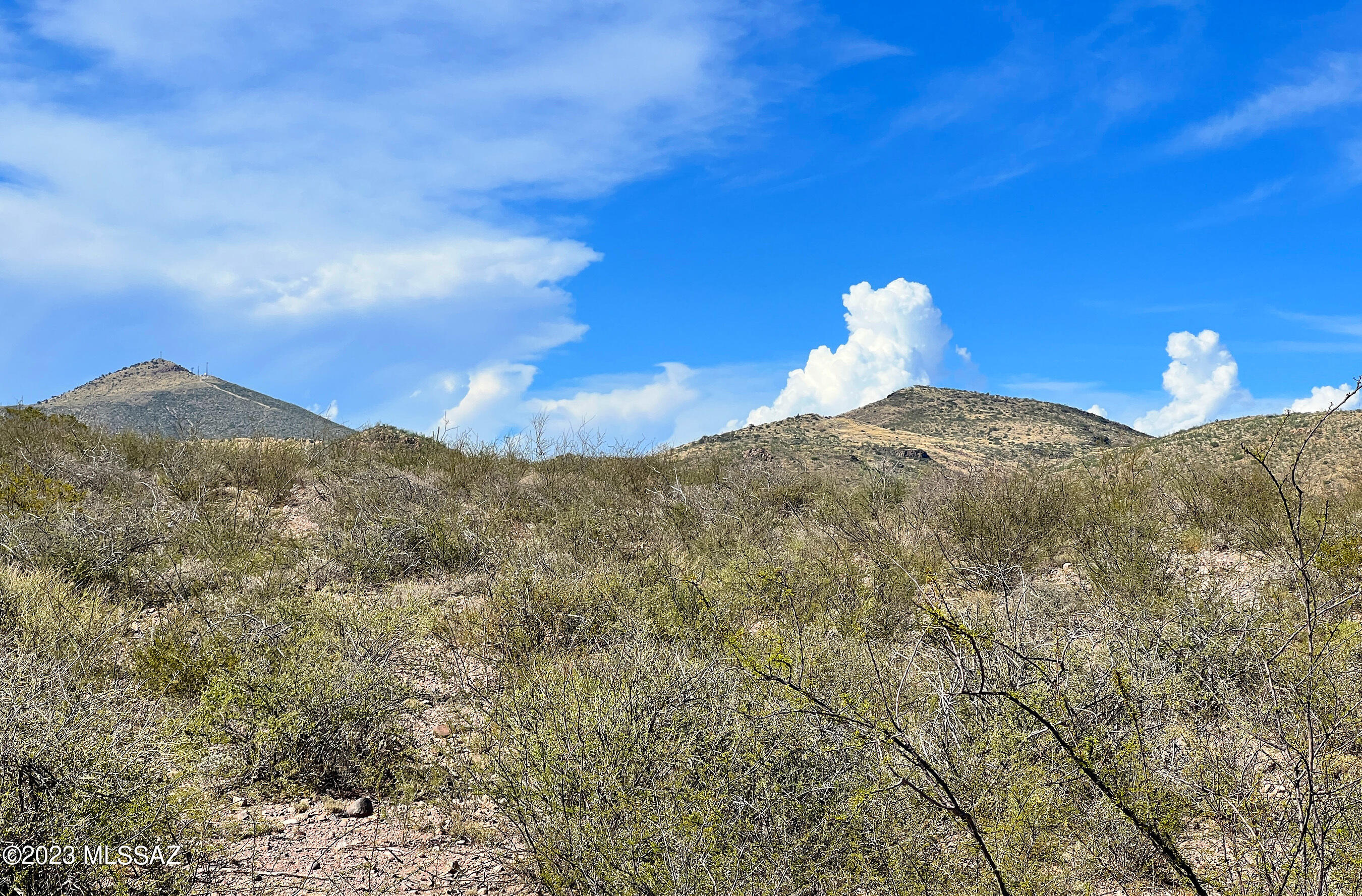 Tbd 80-ac North Pedregosa Road Douglas, AZ 85607 - Photo 10 of 25 Gallery Image 10
