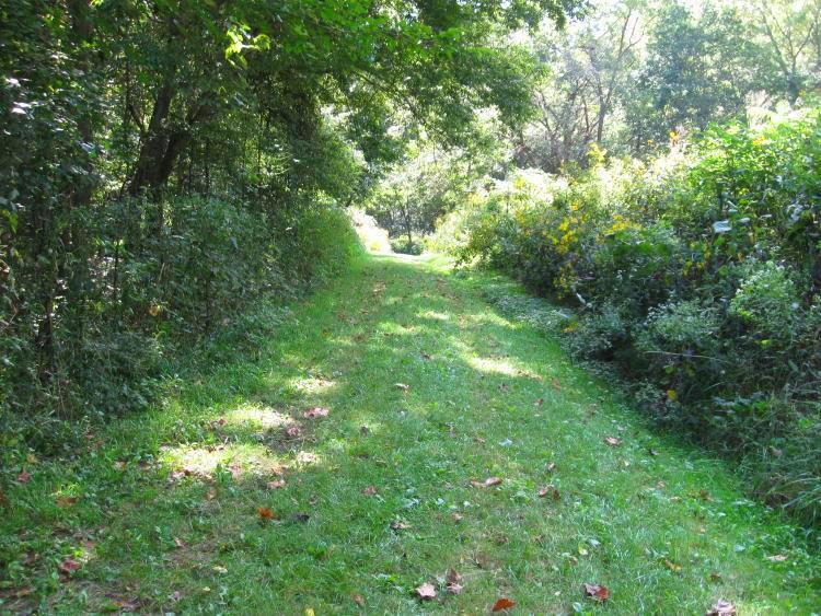 Walking Paths