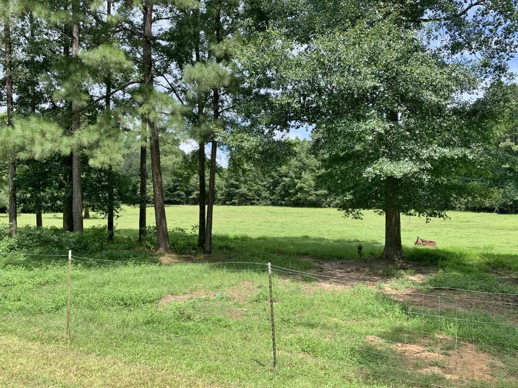 3289 Smiley Honea Road Magnolia, MS 39652 - Photo 19 of 37 Photo 19