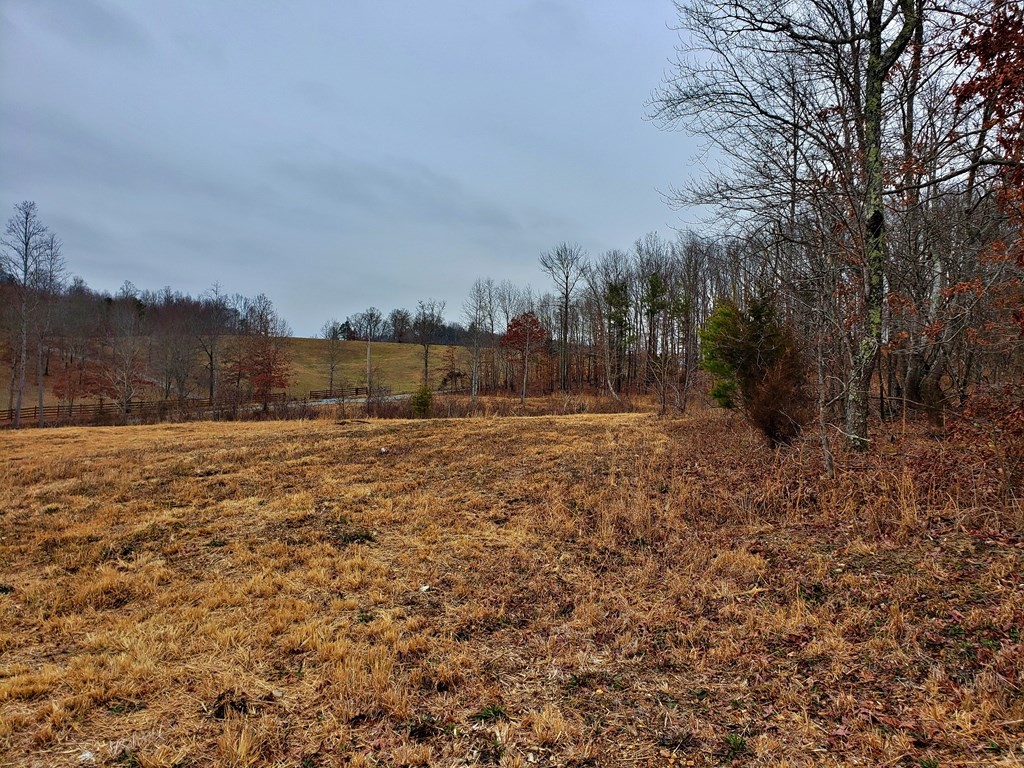742 Rayl Hollow Road Decatur, TN 37322 - Photo 8 of 14 Gallery Image 8