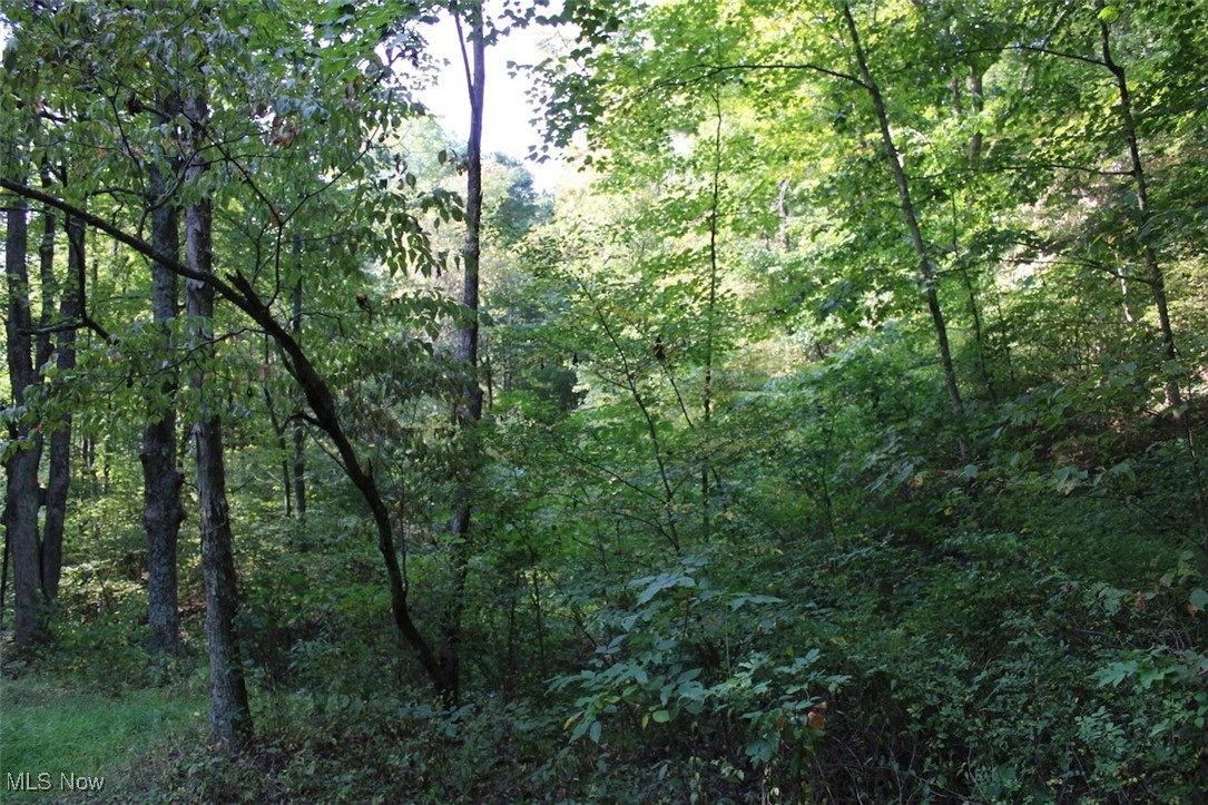 Leffler Road Roseville, OH 43777 - Photo 31 of 49 View of nature