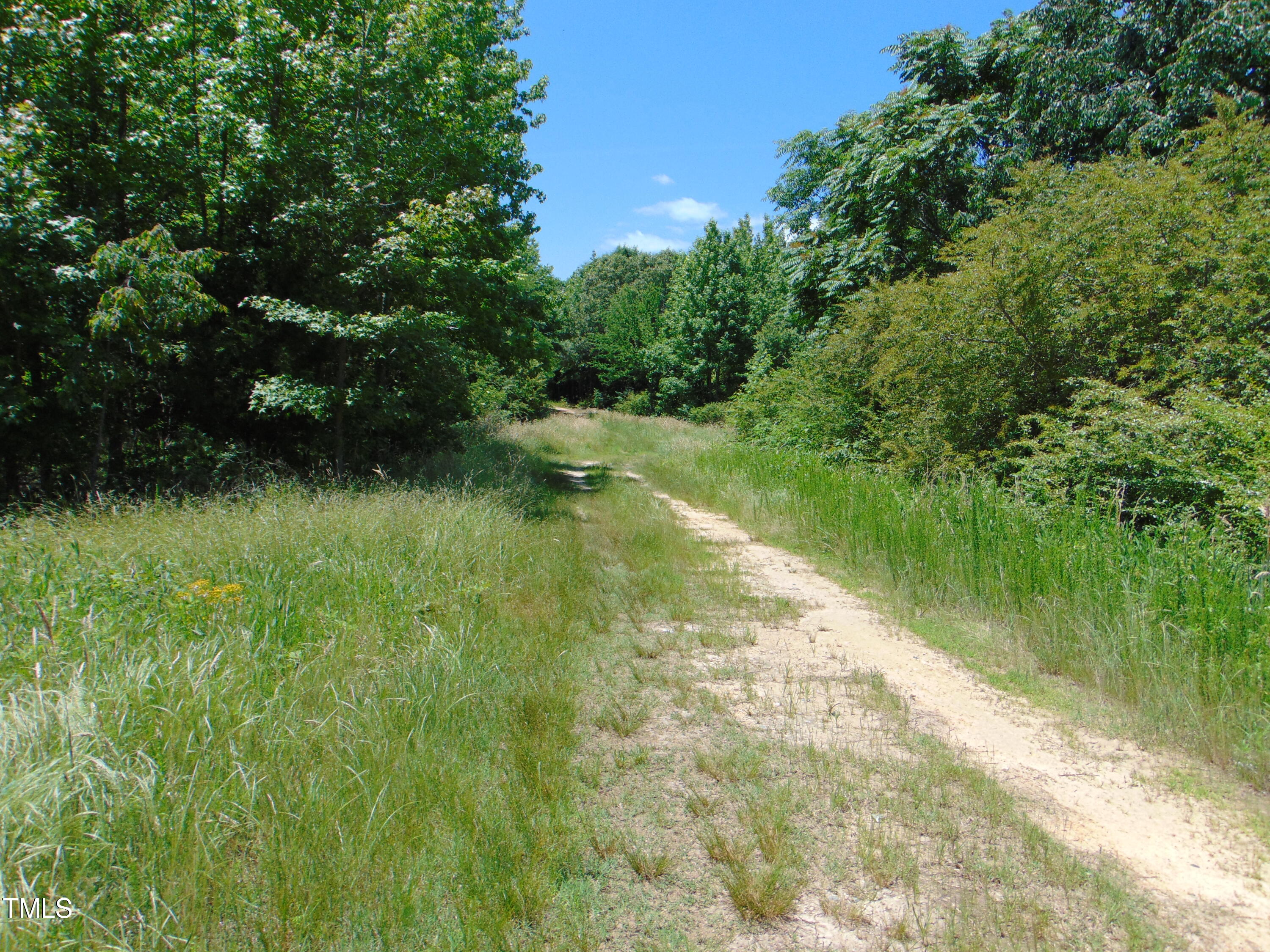 0 Virgilina Road Roxboro, NC 27574 - Photo 2 of 27 a view of a lake view with a large trees