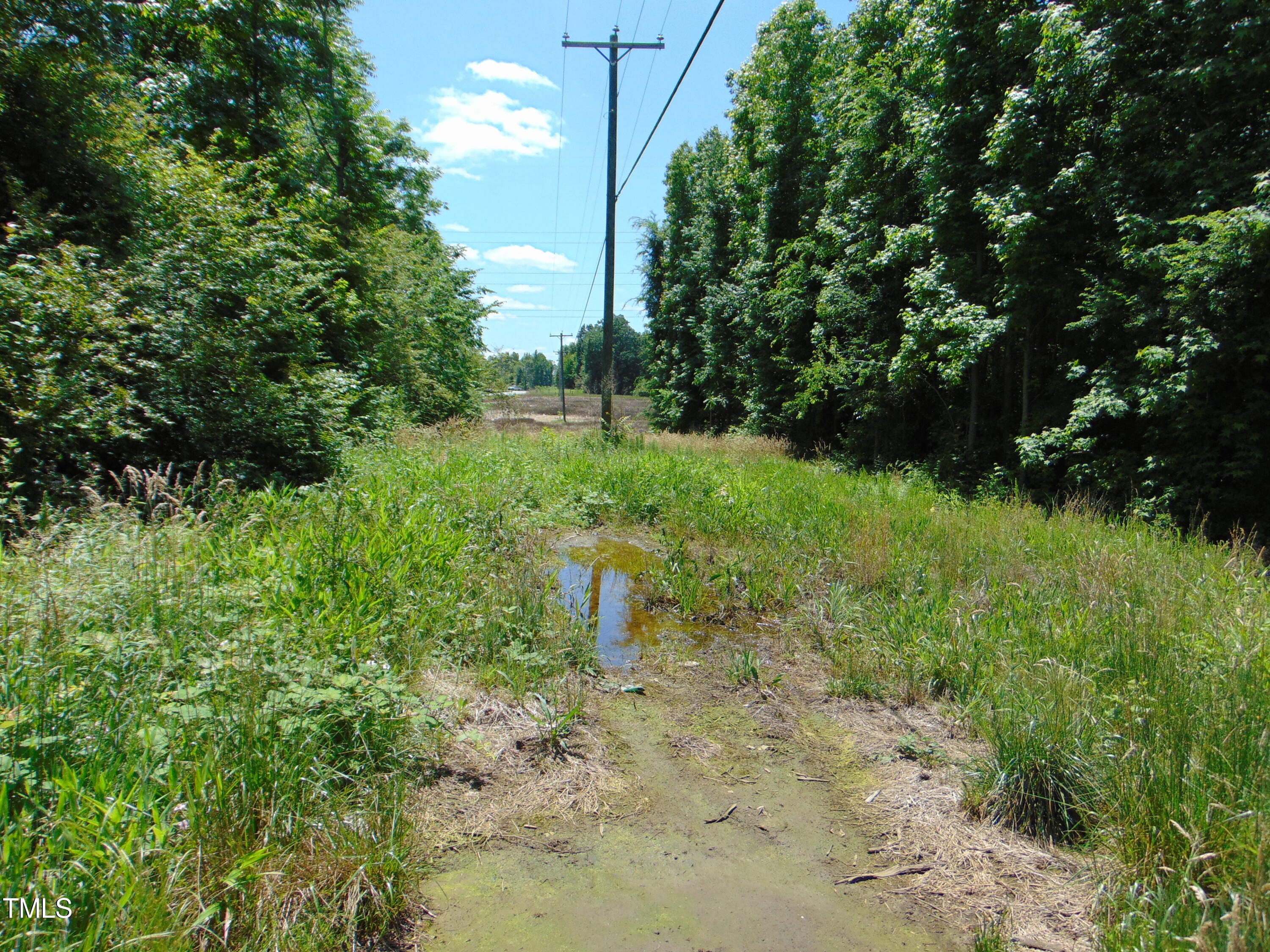 0 Virgilina Road Roxboro, NC 27574 - Photo 3 of 27 a view of a garden with a tree