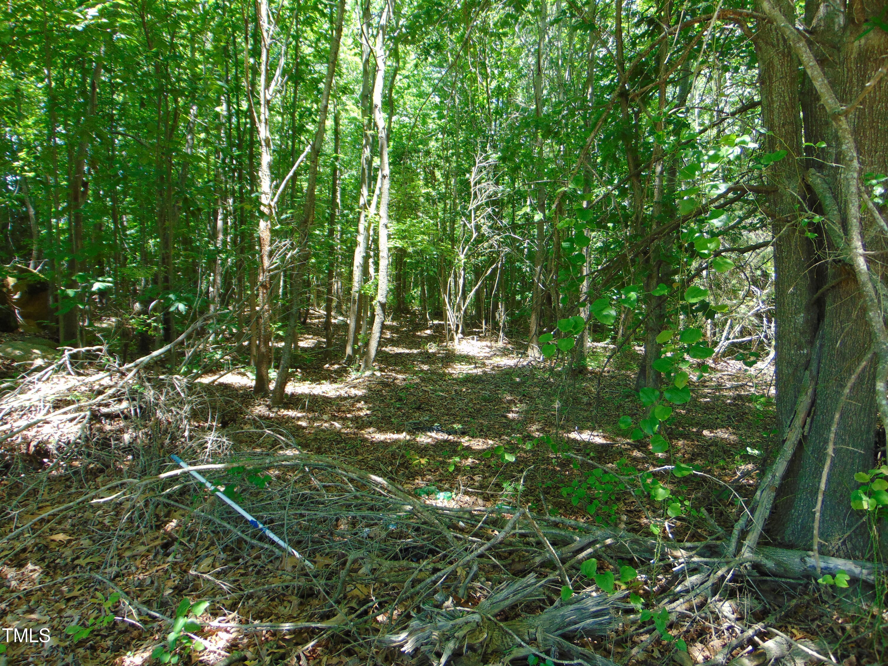 0 Virgilina Road Roxboro, NC 27574 - Photo 6 of 27 a view of outdoor space