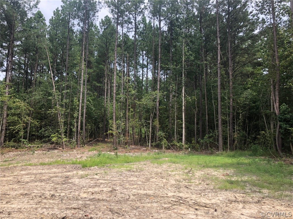 10417 Courthouse Road Dinwiddie, VA 23841 - Photo 5 of 5 Gallery Image 5