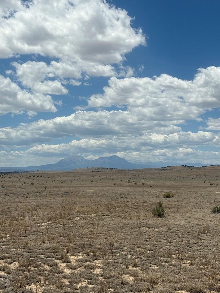 222-224 Turkey Ridge Ranch Walsenburg, CO 81089 - Photo 11 of 13