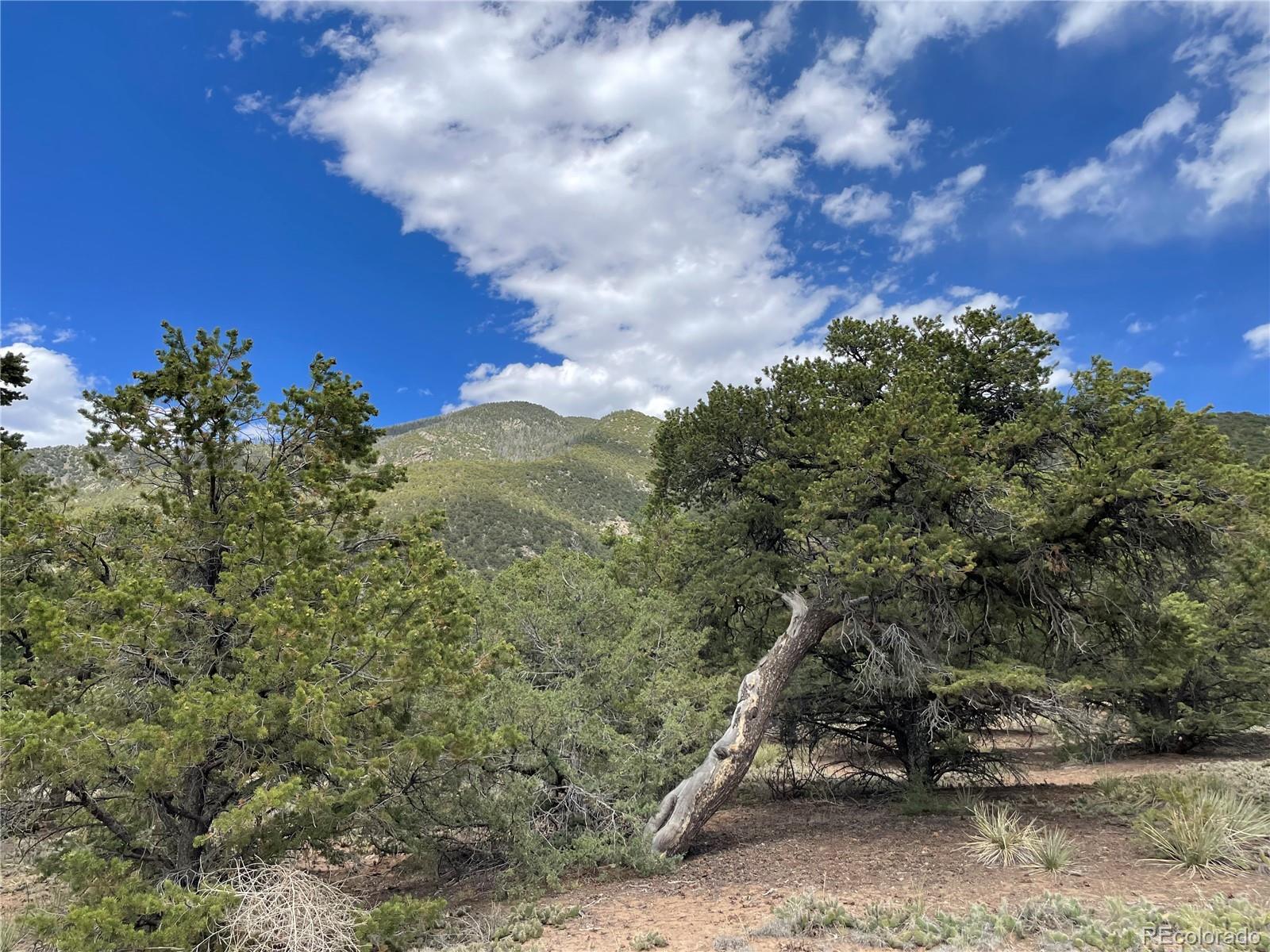 4303 Fallen Tree Way Crestone, CO 81131 - Photo 18 of 19