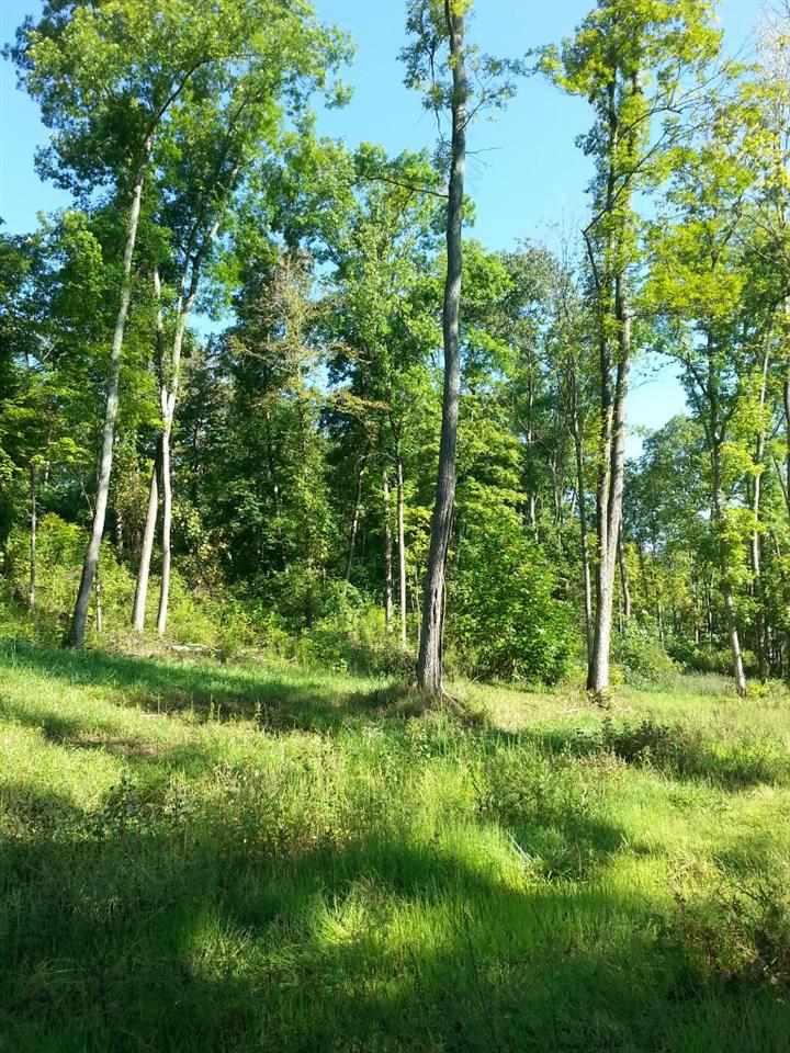 0 Emmons Ridge French Lick, IN 47581 - Photo 2 of 18