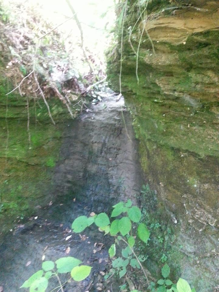0 Emmons Ridge French Lick, IN 47581 - Photo 15 of 18