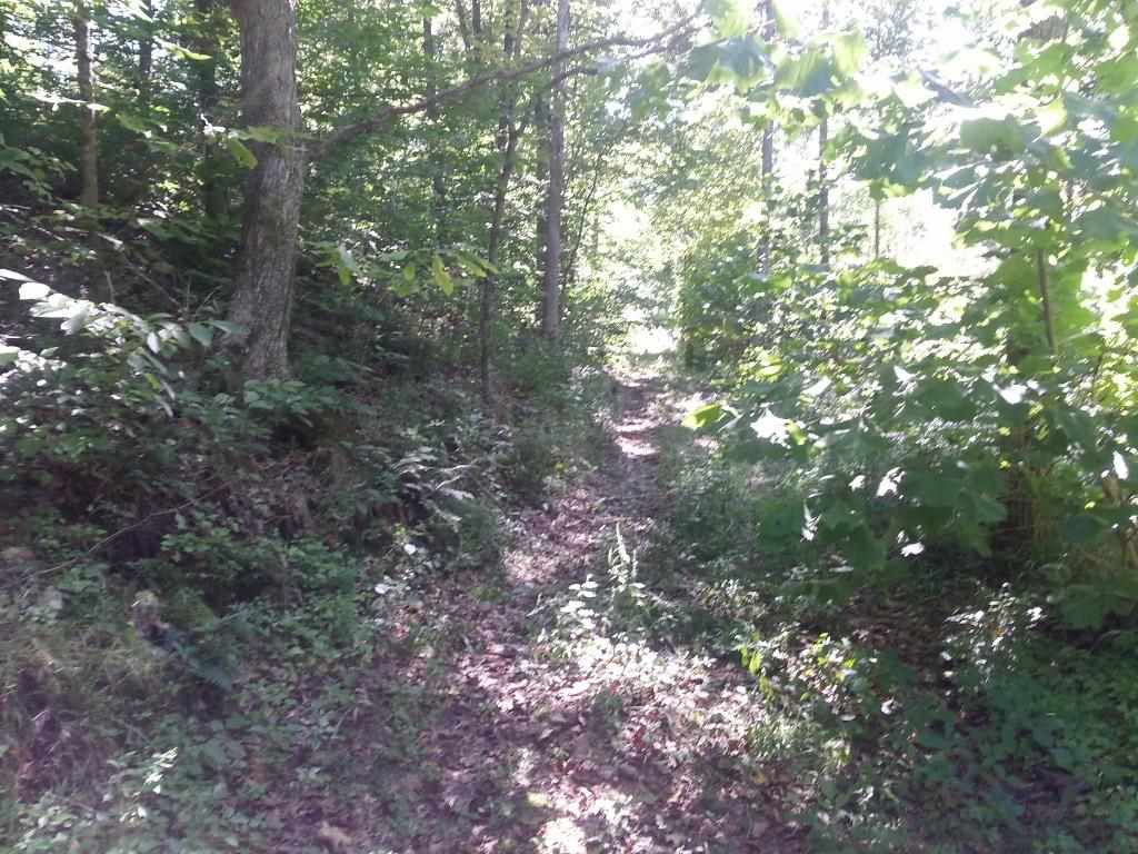 0 Emmons Ridge French Lick, IN 47581 - Photo 16 of 18